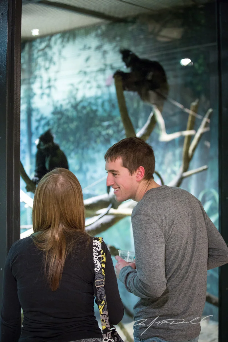 CSZ-Animal-Attractions-5D3A_9954.jpg