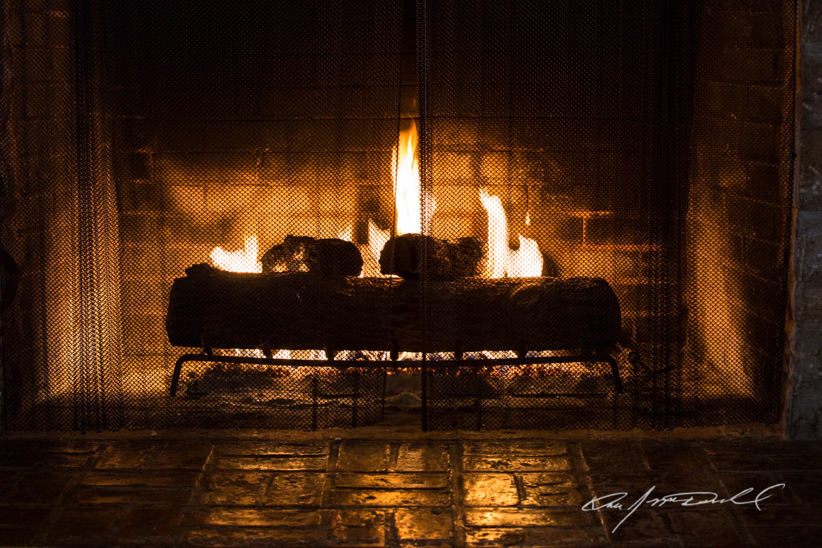 Oliver_5D3A-0672.jpg