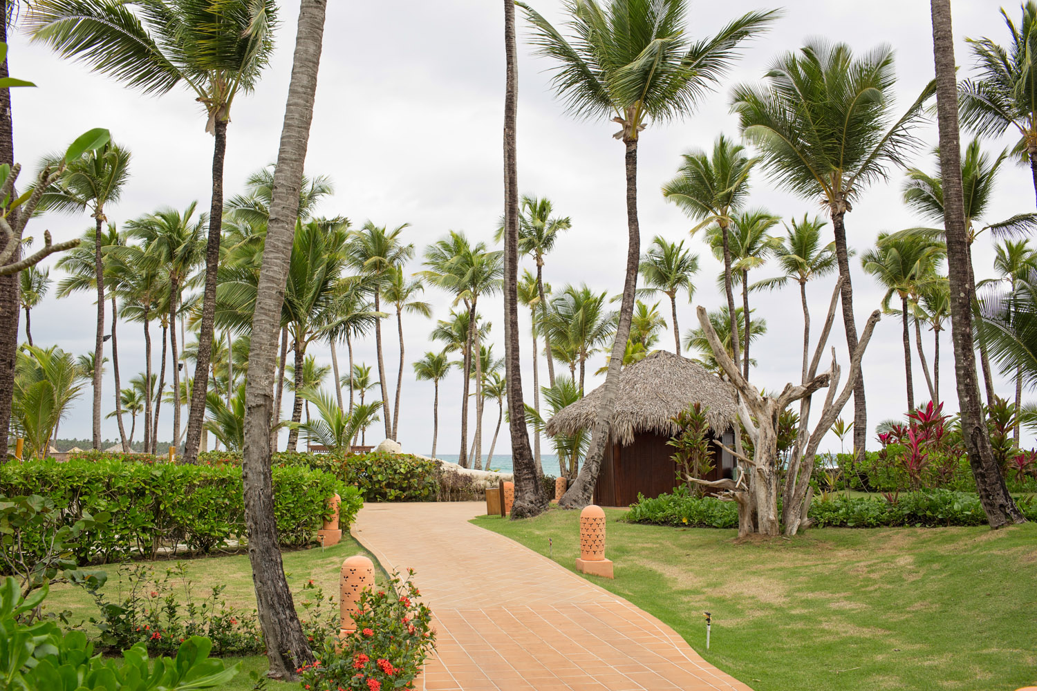 punta-cana_5d3-6172a-edit.jpg