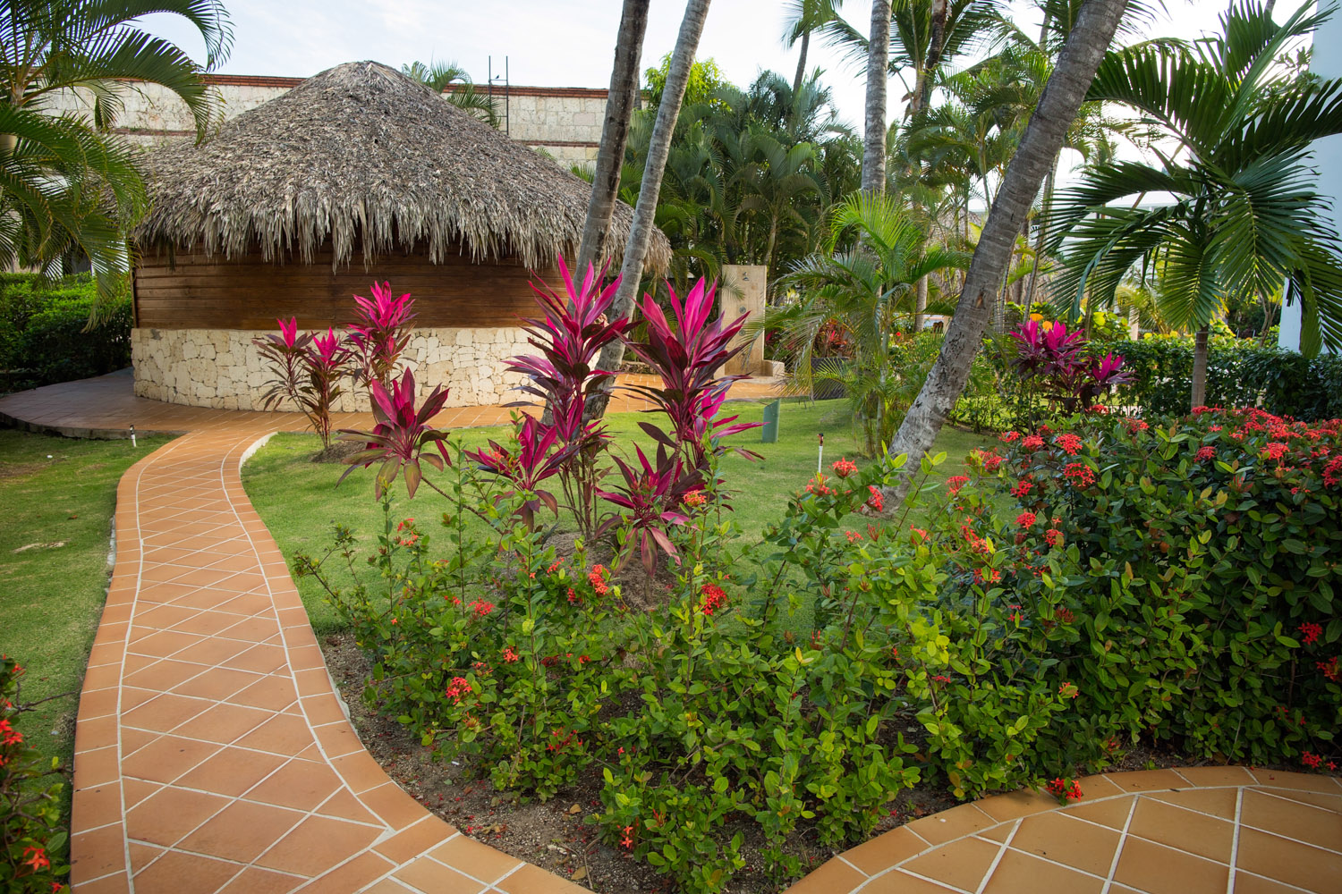 punta-cana_5d3-5307a-edit.jpg