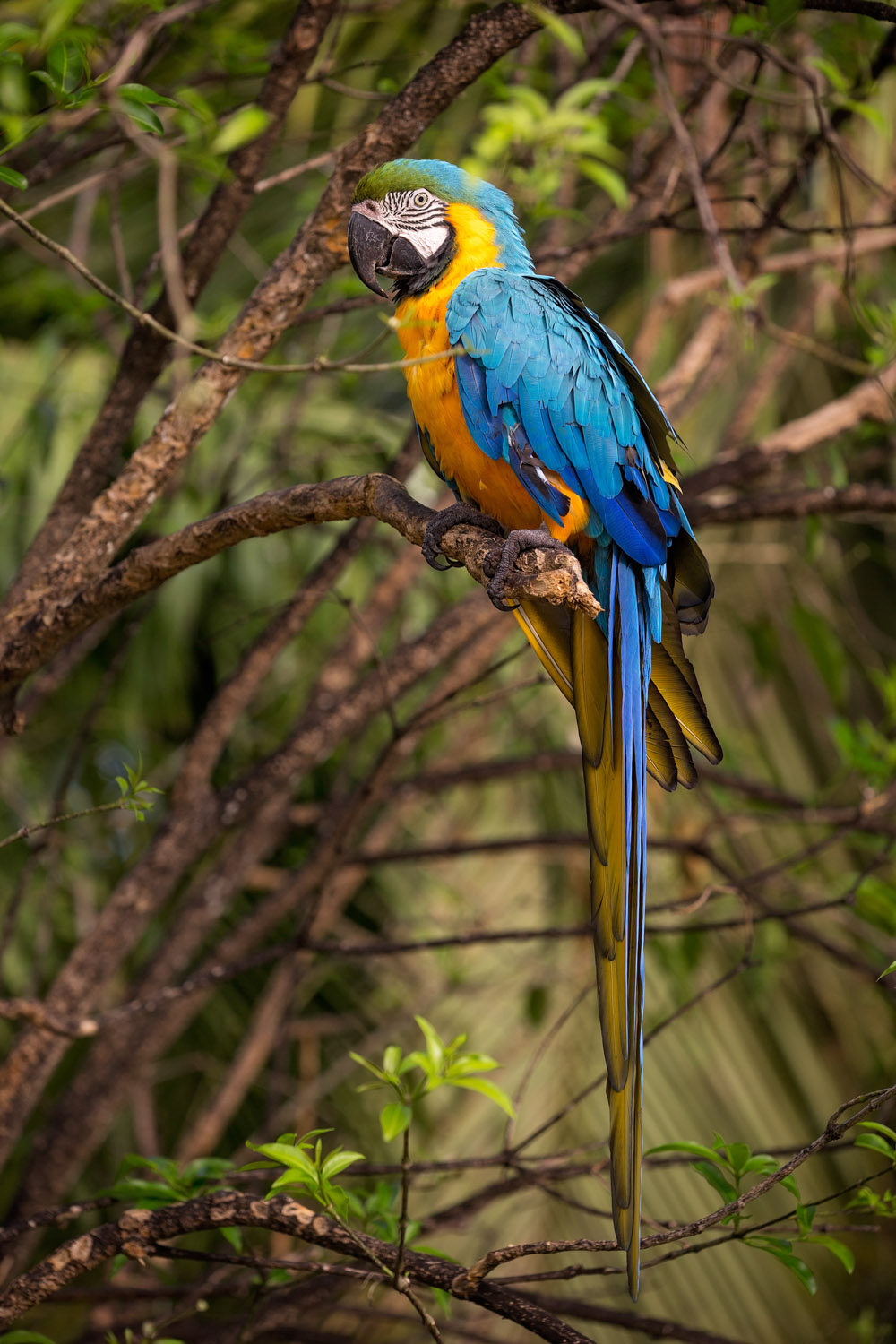 punta-cana_5d3-5352a-edit.jpg