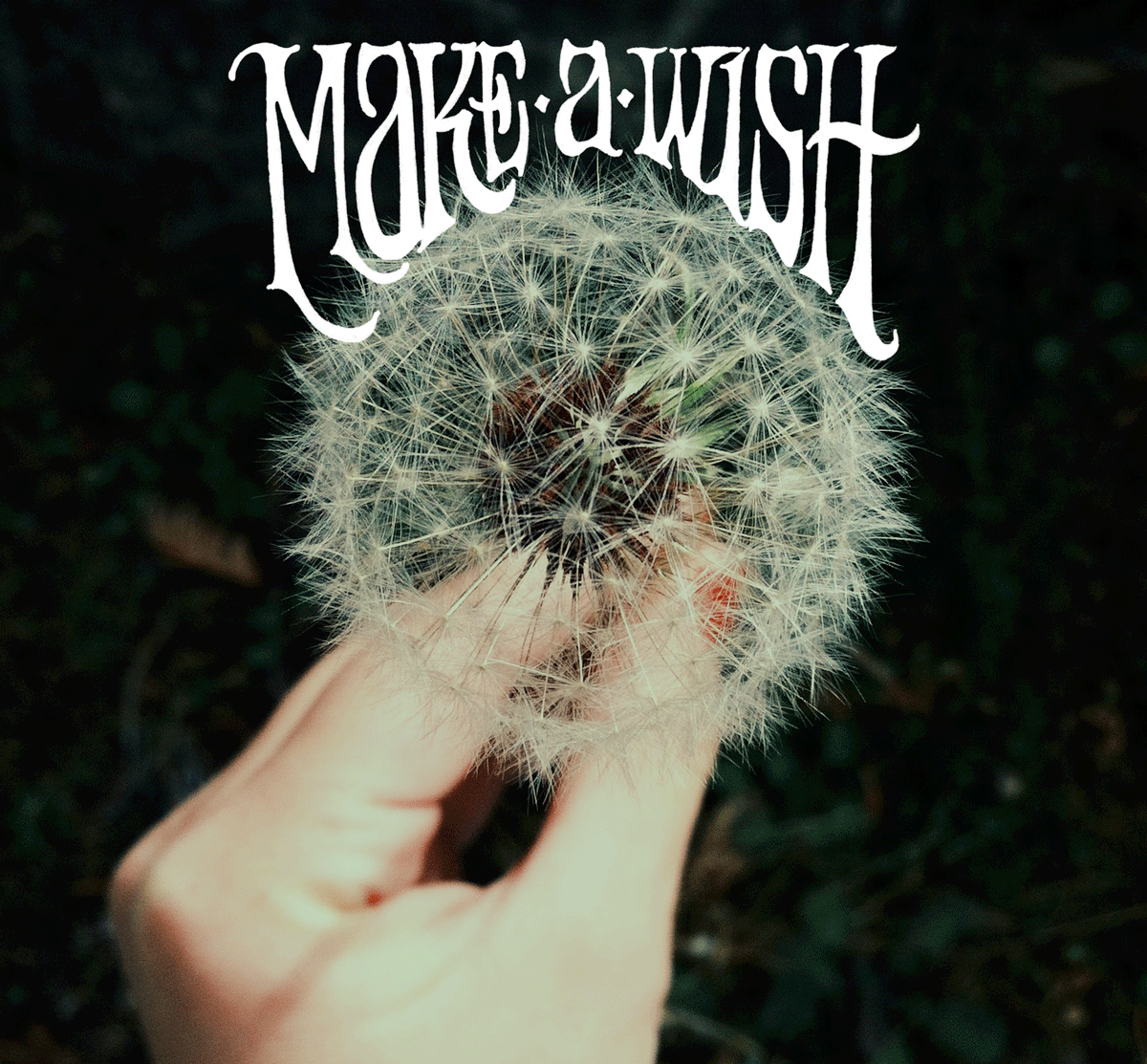 make-a-wish.png