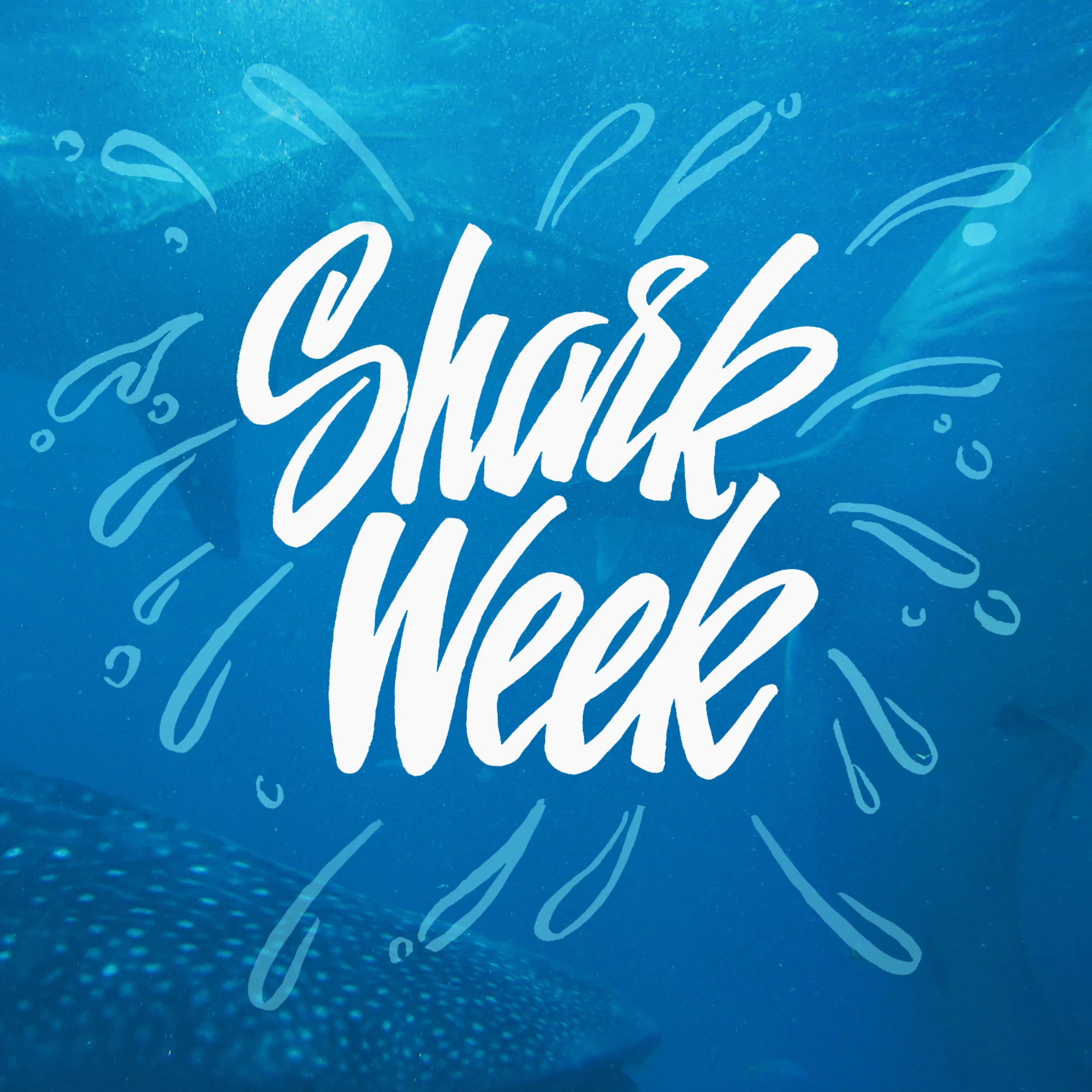 shark week by johnsuder.jpg