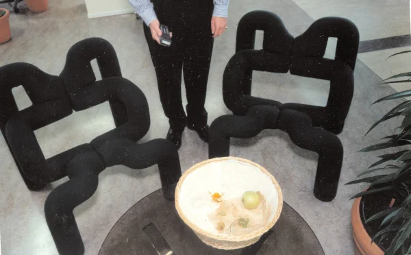 SUN_empty chairs thumbnail.jpg