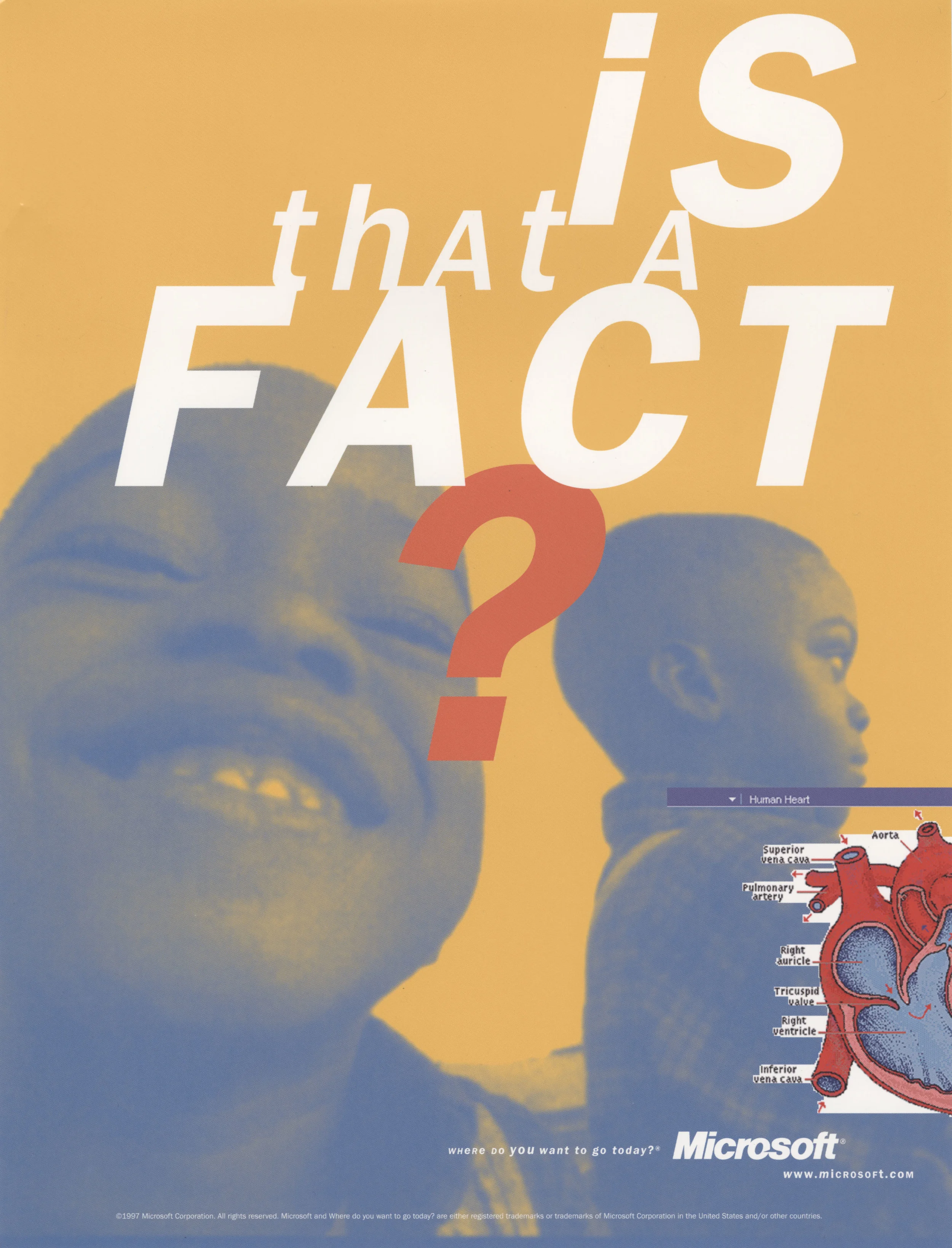 MS_IS THAT A FACT.jpg