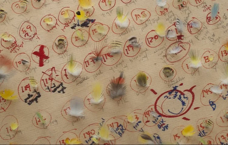 The Parchments