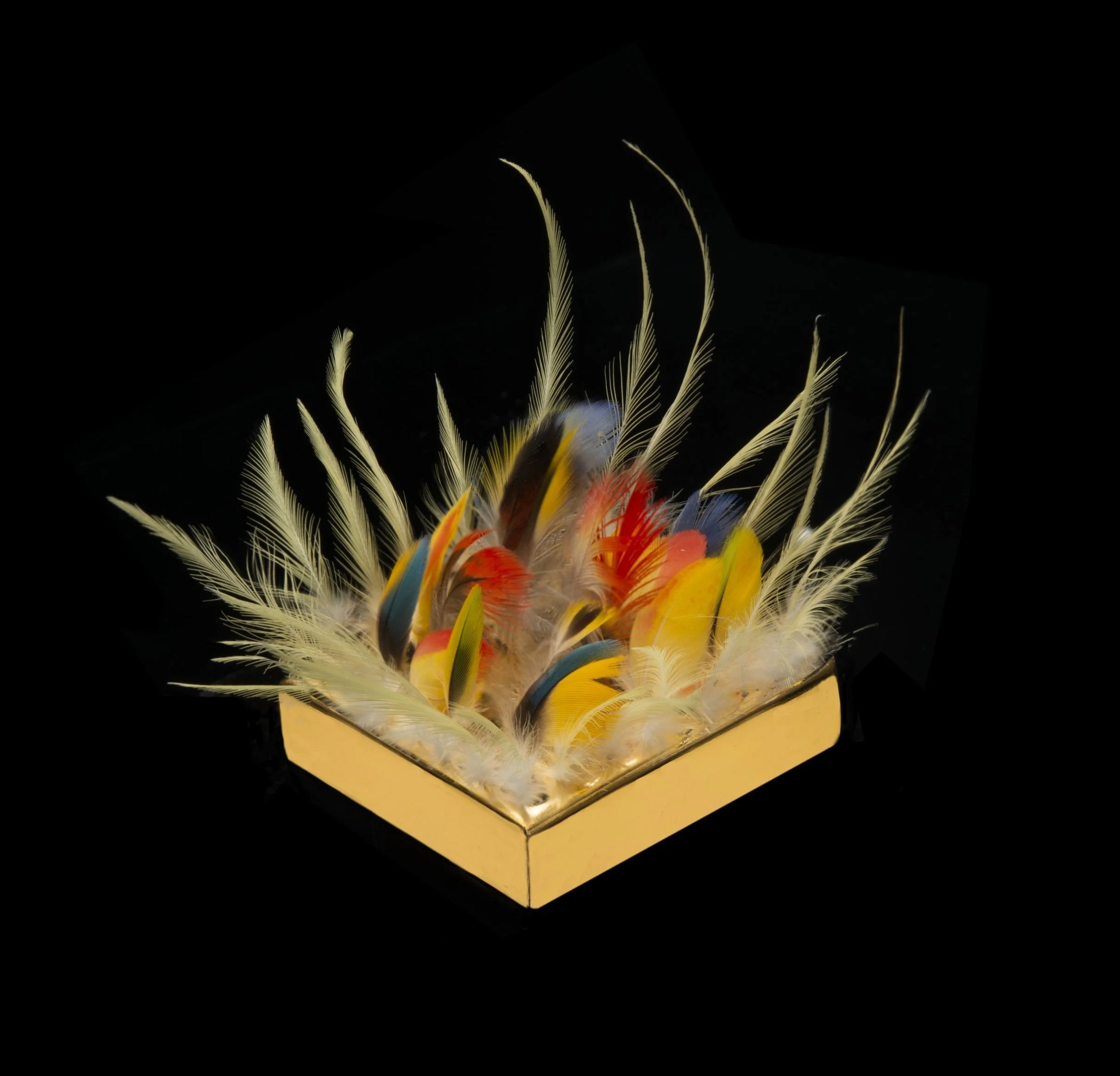   Gorgeous Nothings: Carmen (2025)  

 

 Gold, 42 bird feathers [24 boundary cockatiel feathers and 18 interior feathers, including budgerigar, macaw, conure, eclectus, grass parakeet, and other feathers], water-gilded cherry wood [rabbit skin glue,