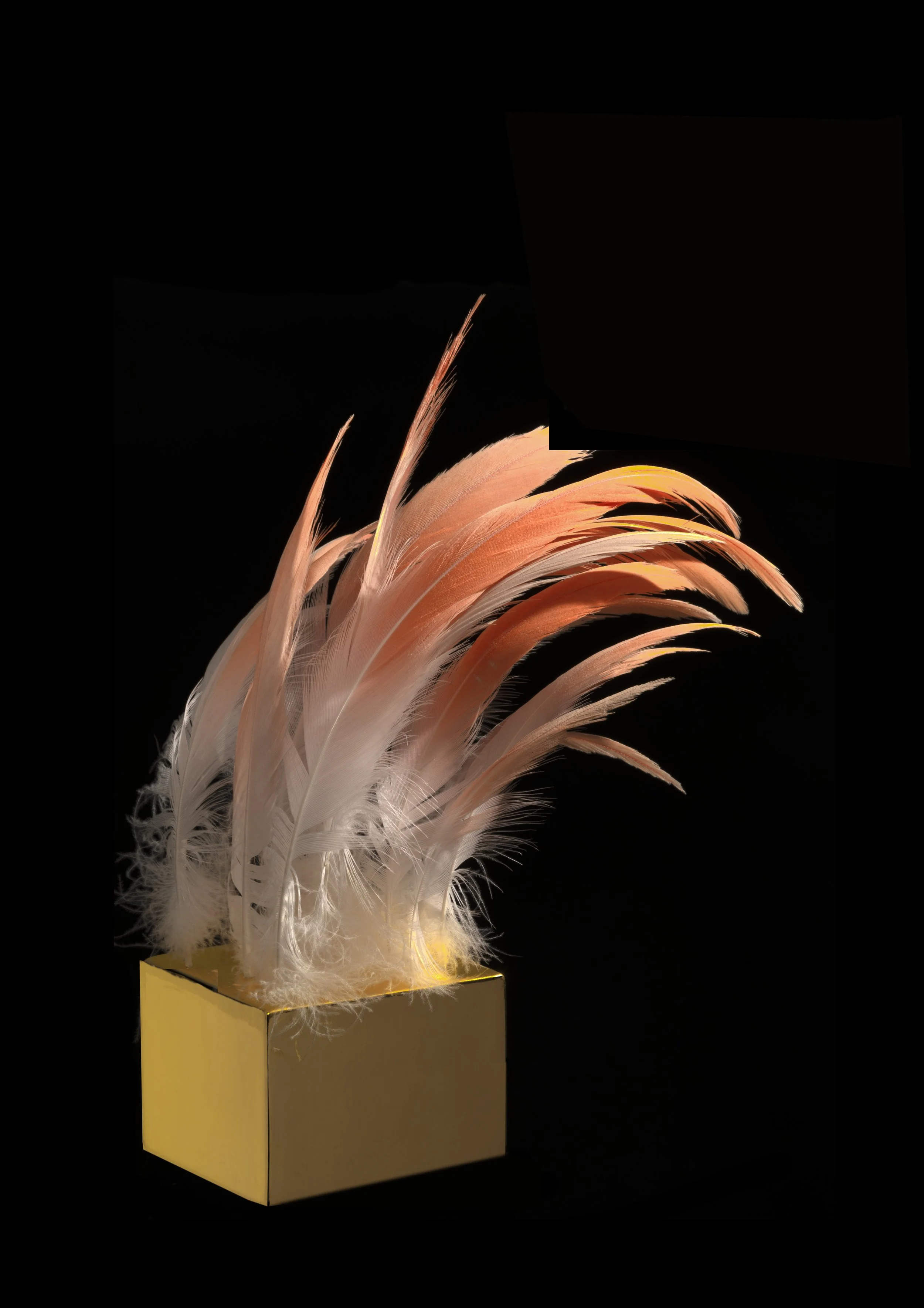   The Love a Life Can Show Below: Enchants (2023)  
 
Side View
