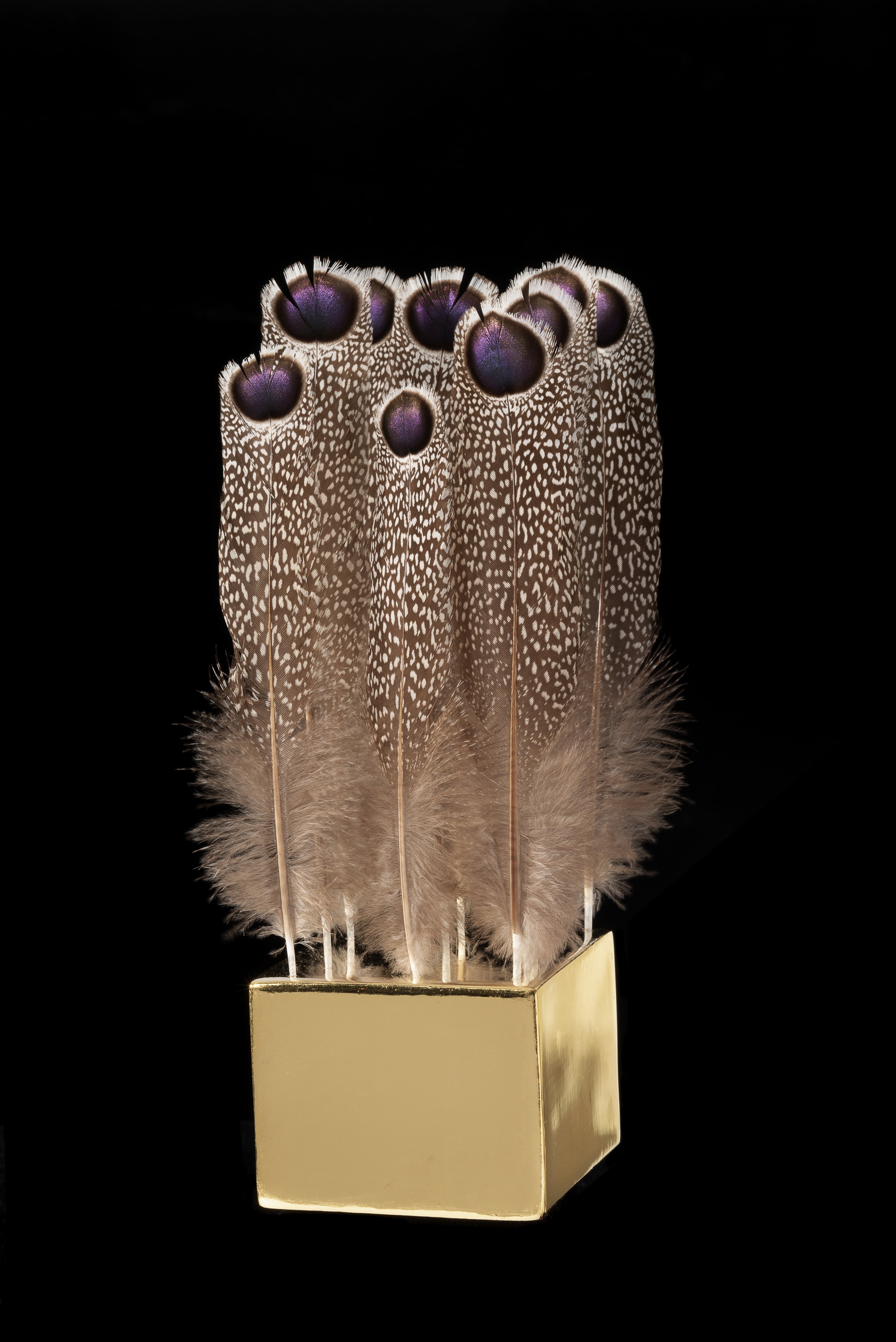   The Love a Life Can Show Below: Glimmers  

 

 Gold, 10 Grey Peacock Pheasant Feathers, Water-Gilded Gold [rabbit skin glue, chalk, bole, 24k gold leaf, water], poetry and music. 

 7 ½ x 3 ½ x 3 inches 

   Poetry:   Emily Dickinson,  The Love a 
