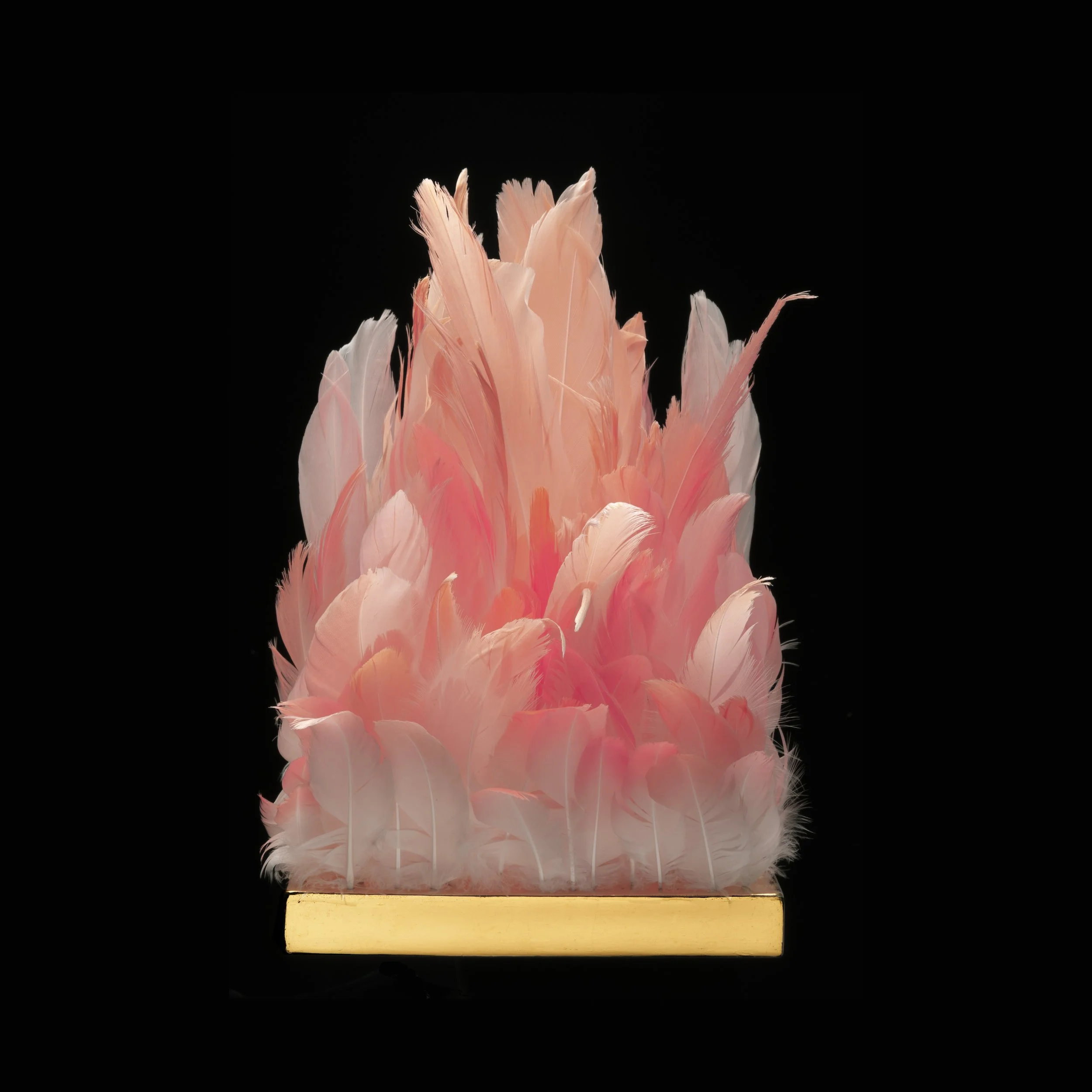 4. Lip of the Flamingo.jpg