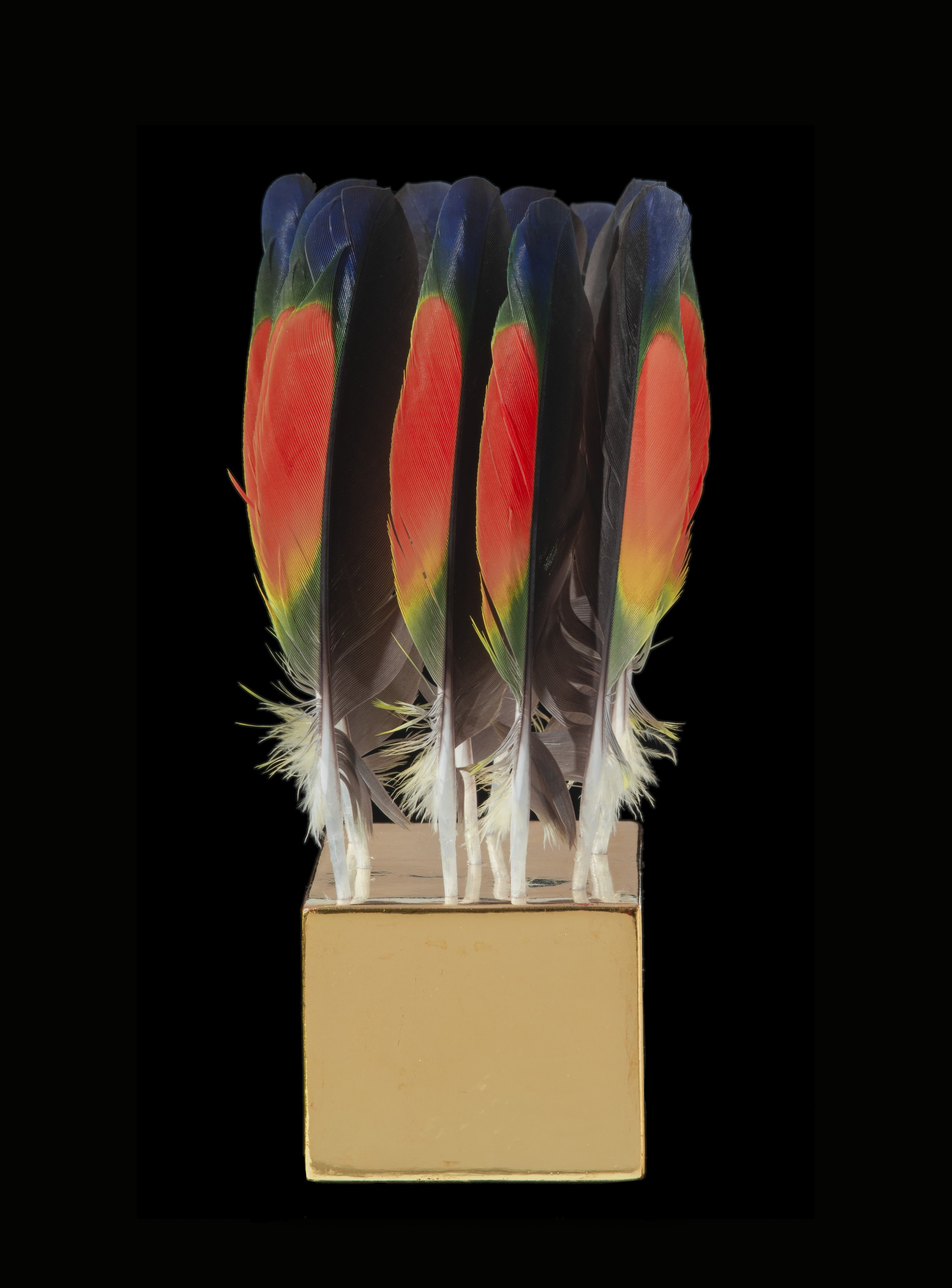   The Love a Life Can Show Below: Then – Flings in Paradise (2024)  
 
Front View