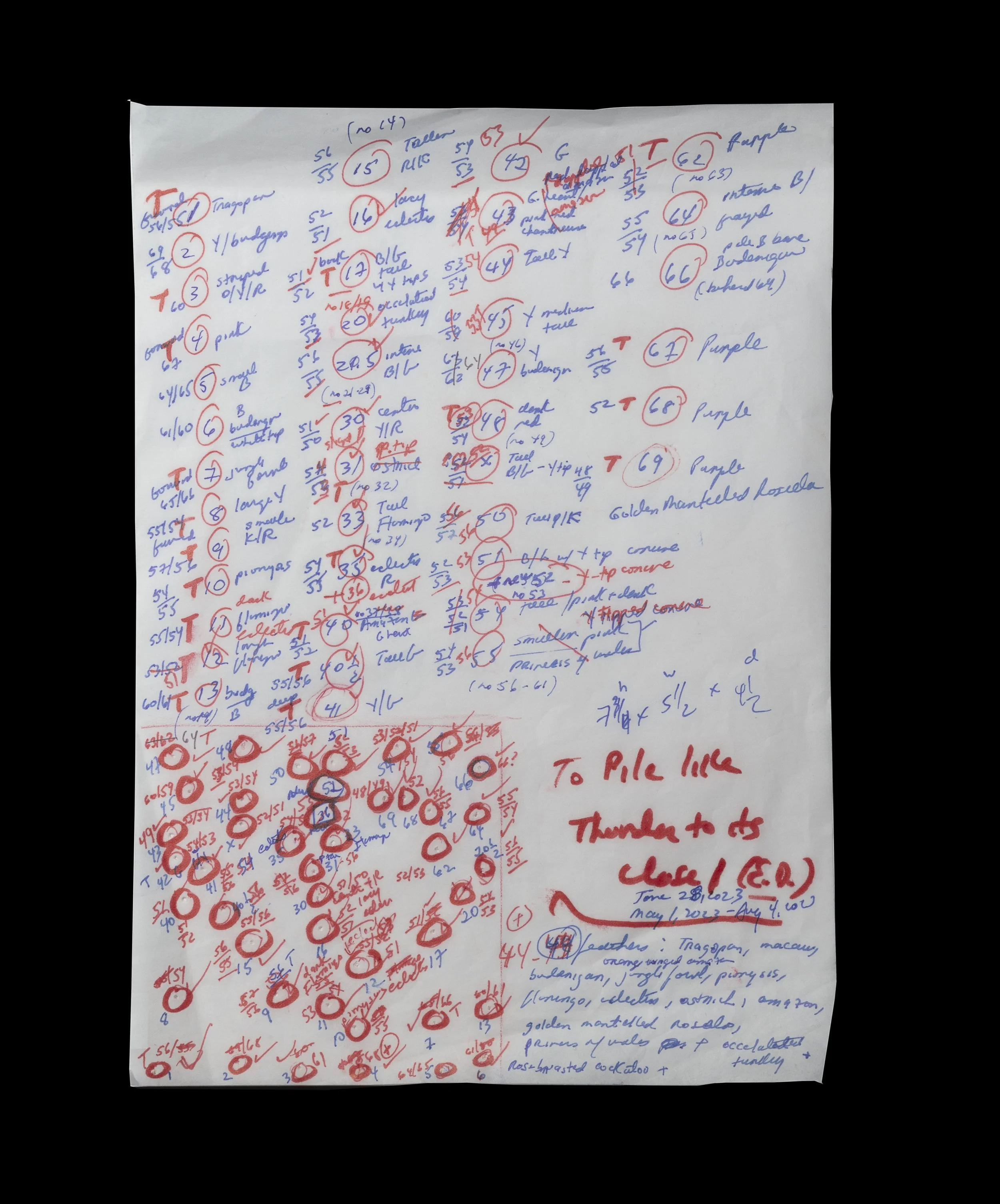 8. To pile likeThunder.Parchment 5. 44 feathers.jpg