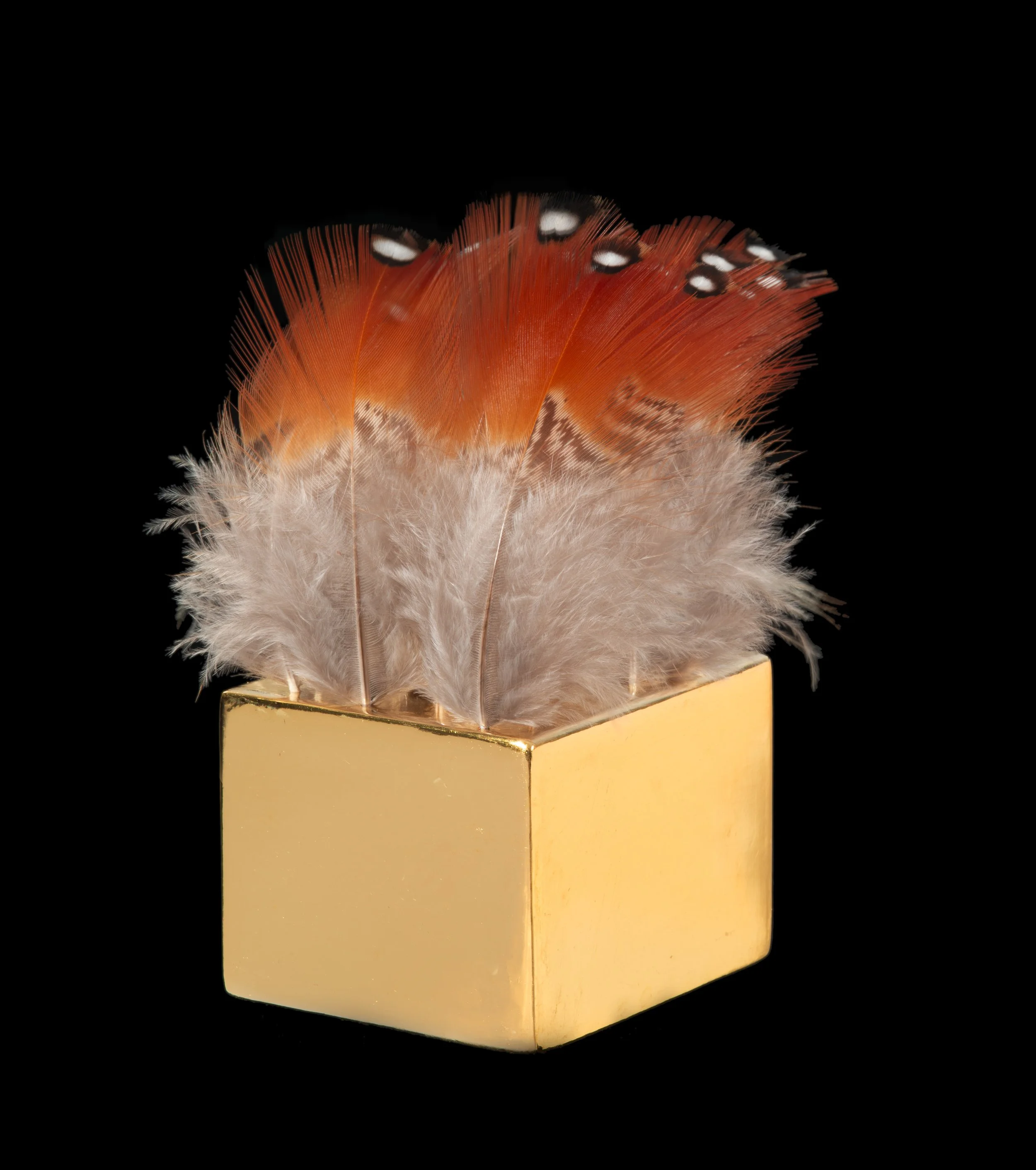   The Love a Life Can Show Below: Flits (2023)  
 
Side View