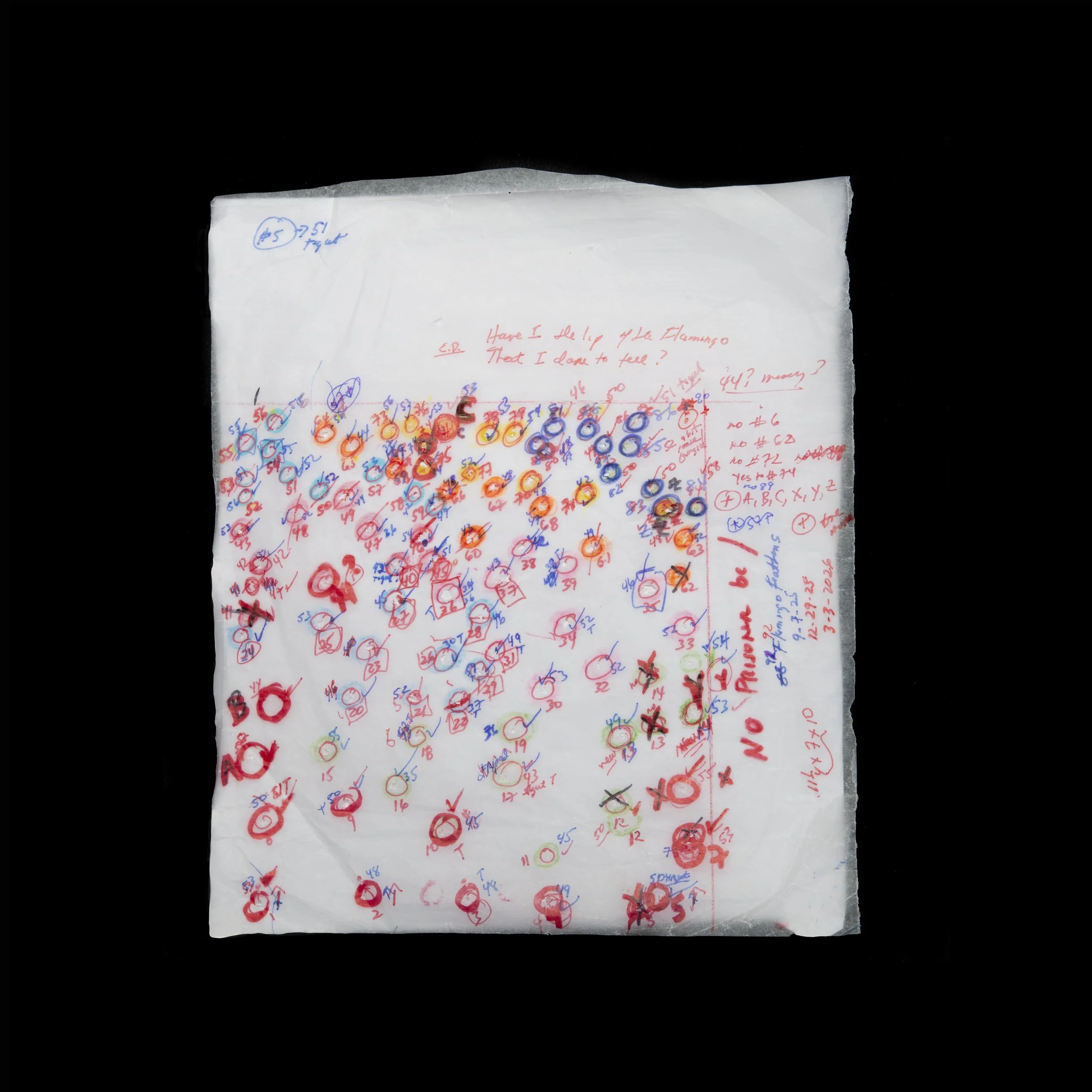 10. Lip of the Flamingo.Parchment.jpg
