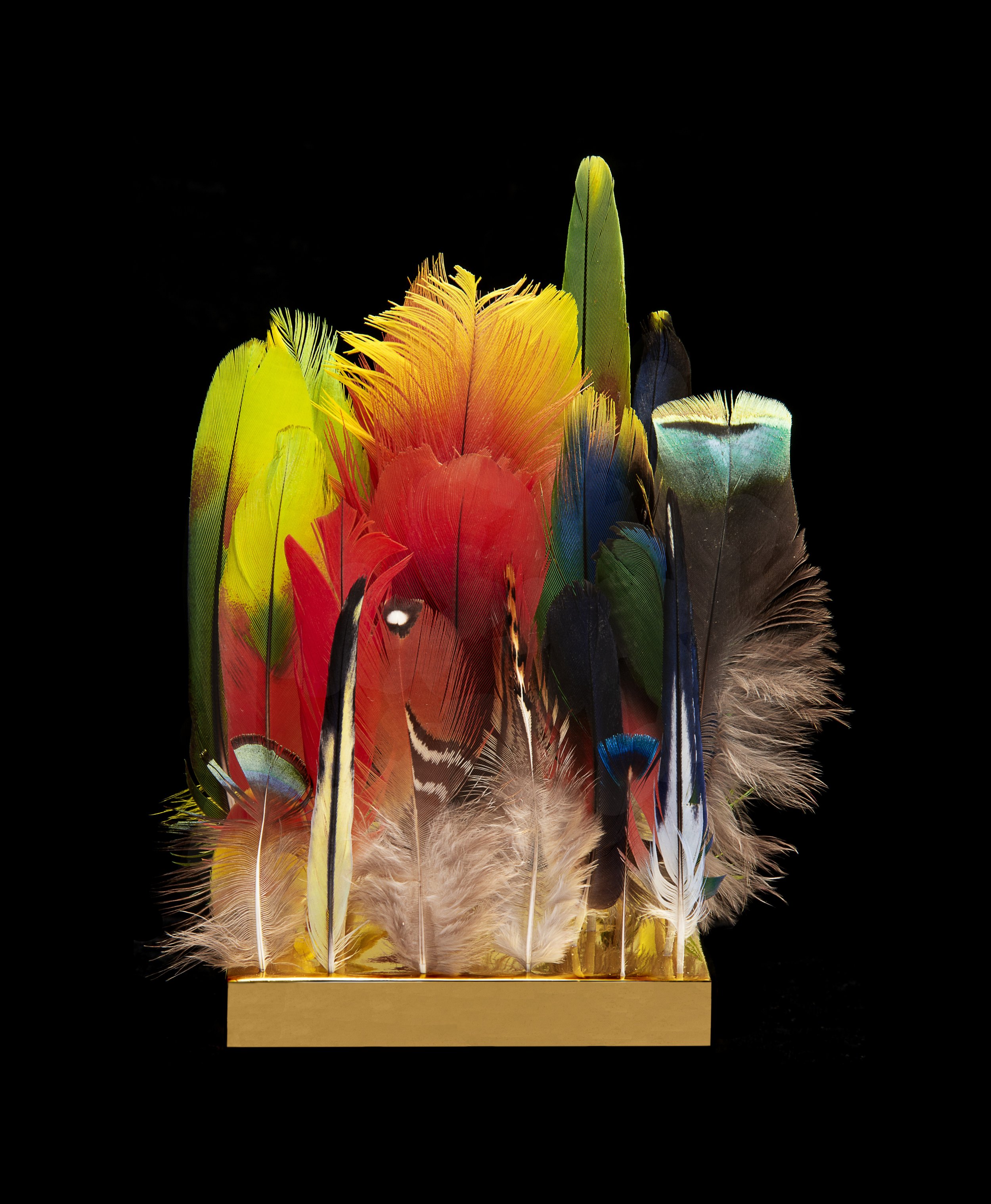 6.To pile like Thunder.Front view.jpg