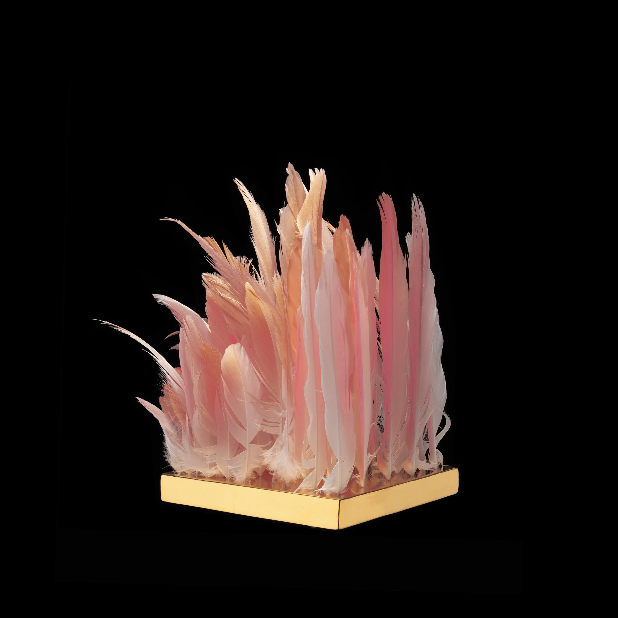 6. Lip of the Flamingo.jpg