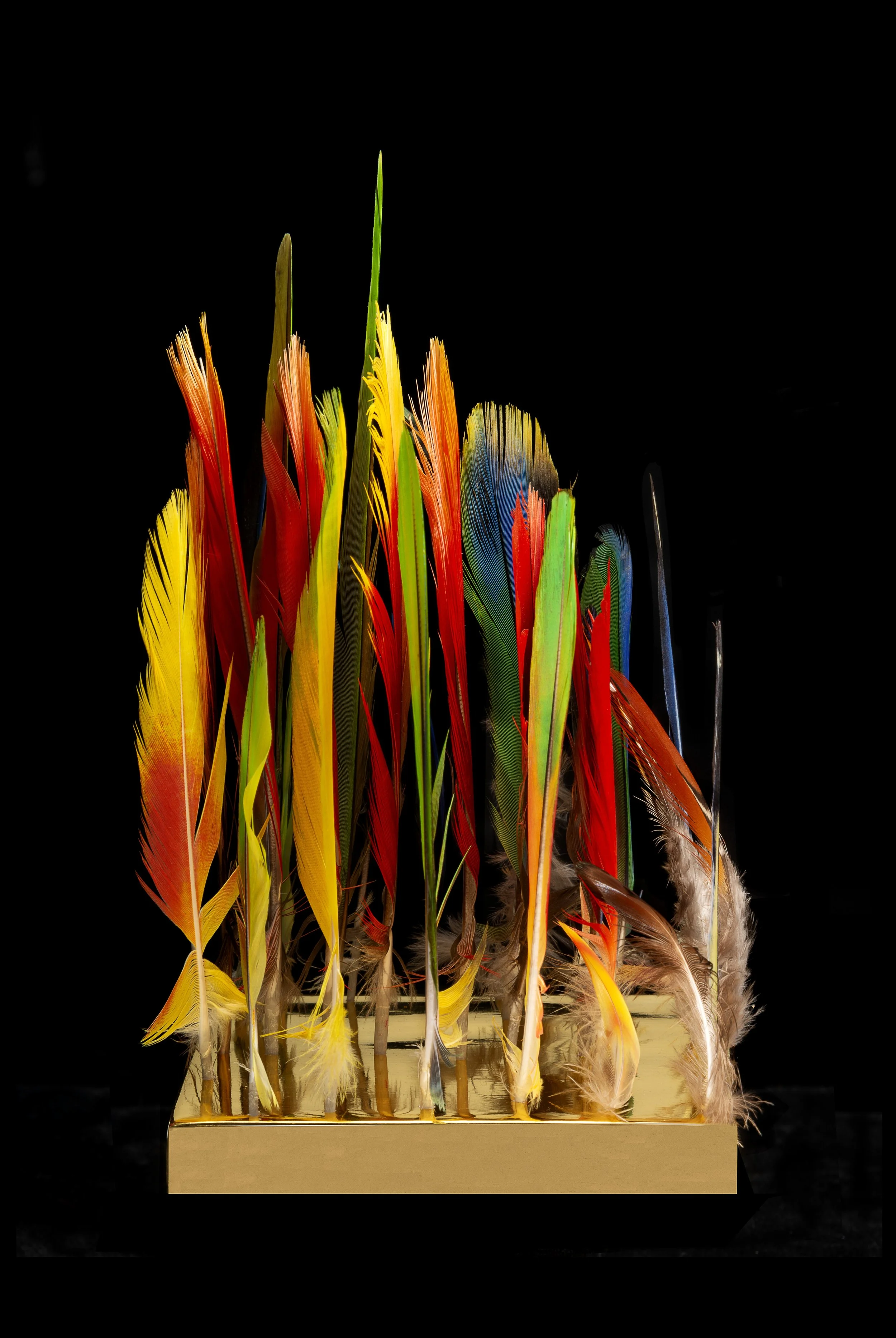 4. To pile likeThunder.left side view.jpg