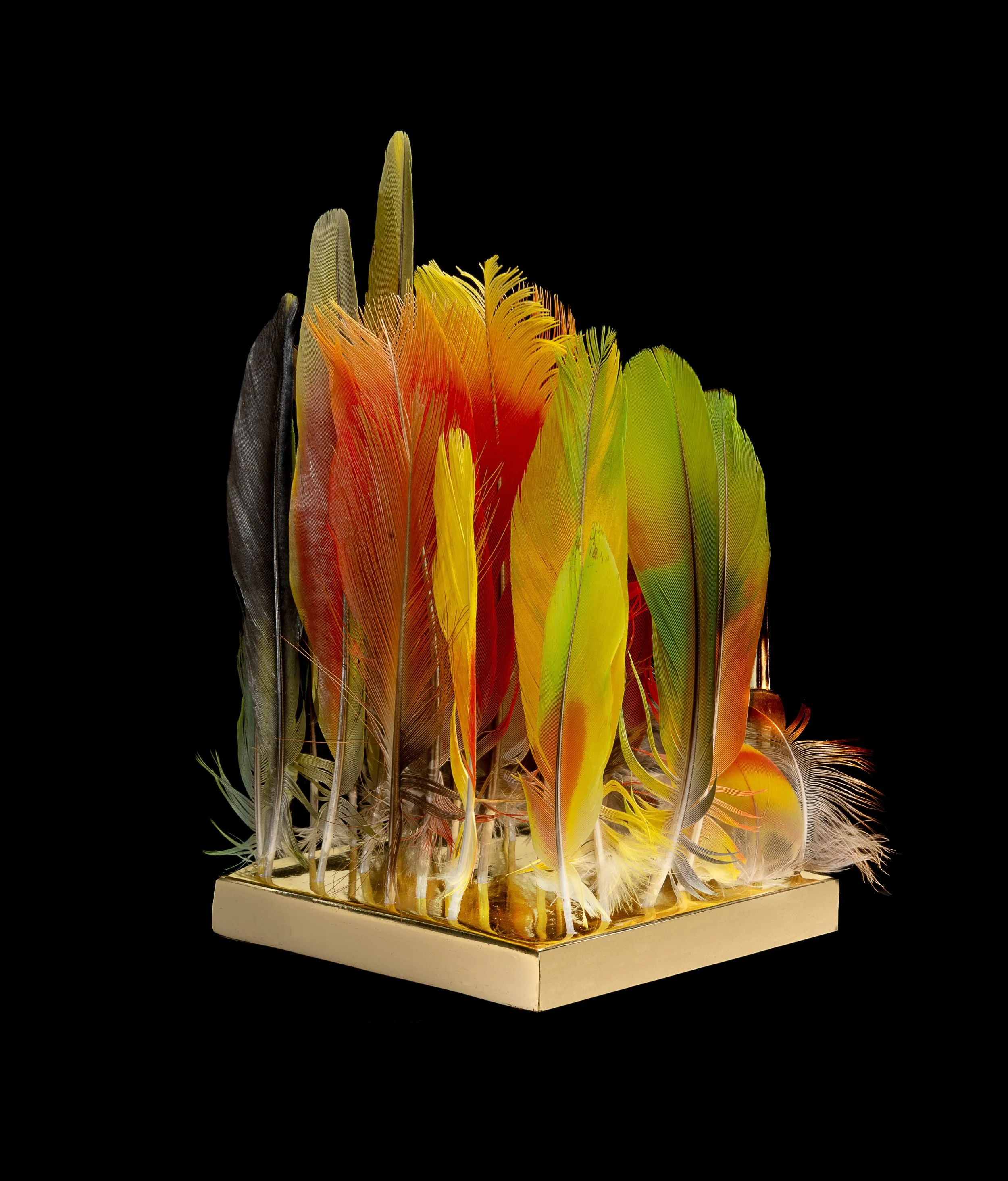 3. To pile like Thunder.Back view.jpg