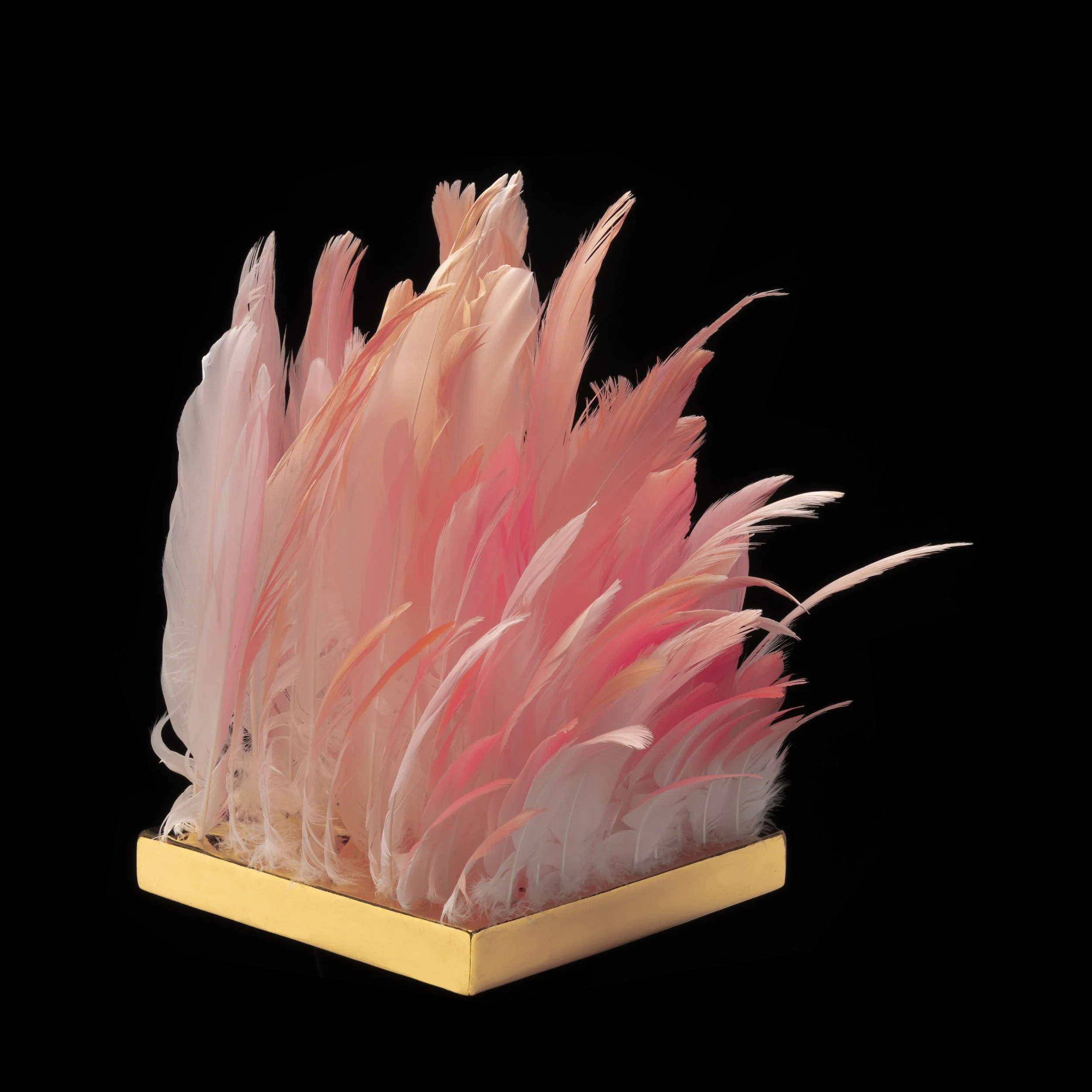 3. Lip of the Flamingo.jpg