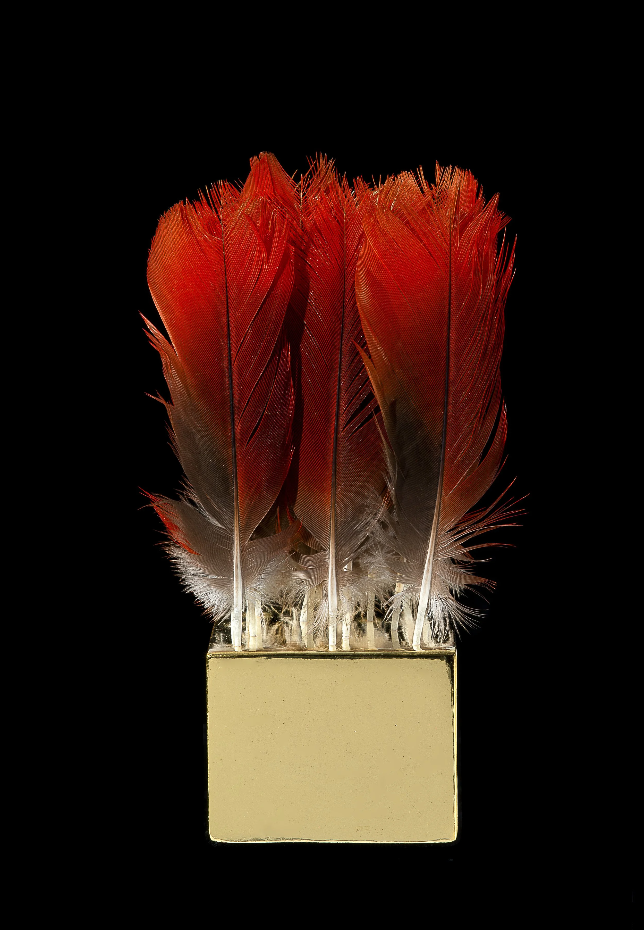   The Love a Life Can Show Below: Endows (2023)  
 
Front View