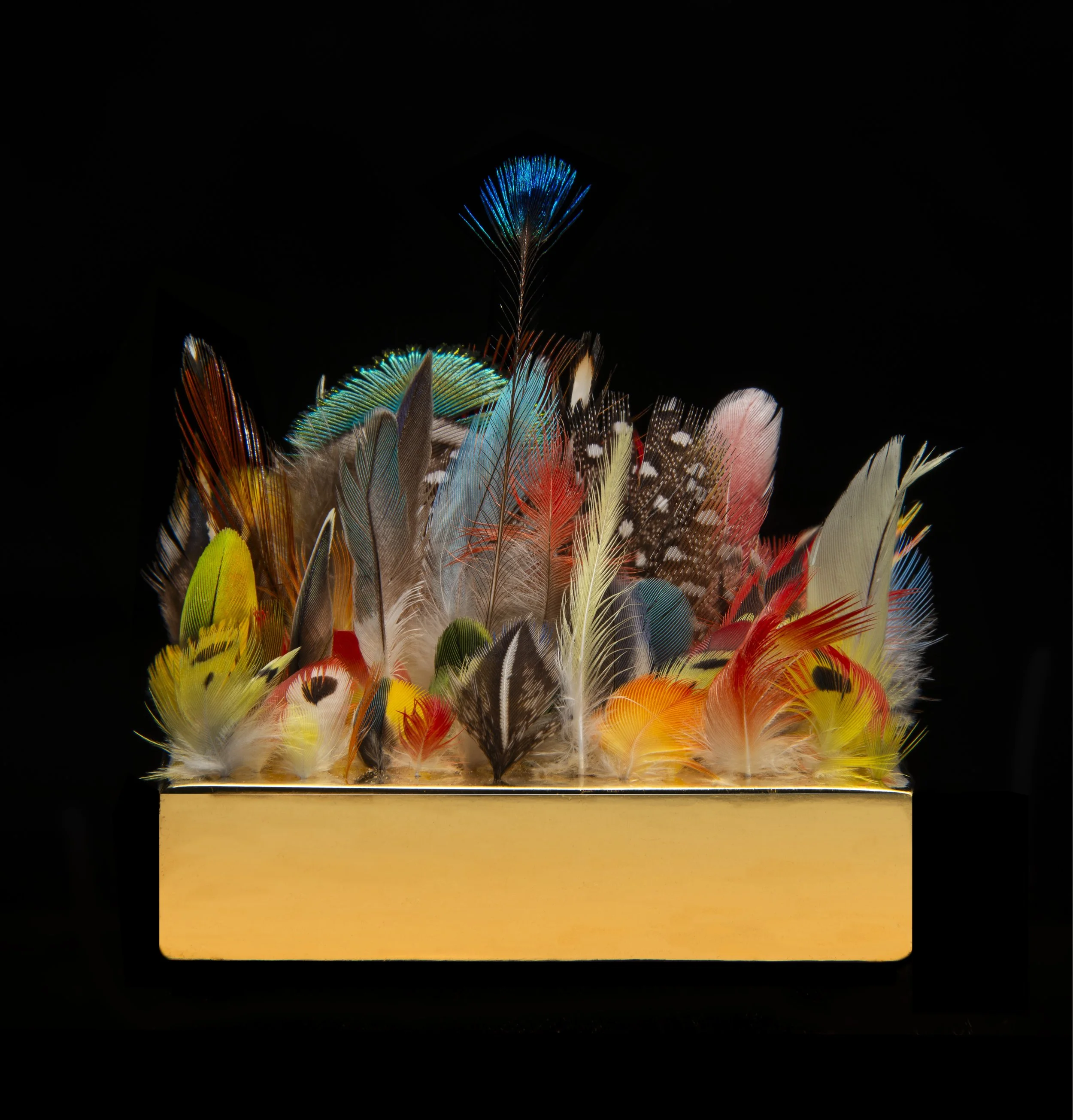   The Gorgeous Nothings: East End (2024)  

 

 Gold, 77 feathers [including budgerigar, yellow cockatoo, rose-breasted cockatoo, macaw, peacock, guinea hen, jungle fowl, amazon, conure, and other parrot, parakeet, and pheasant feathers], water-gilde