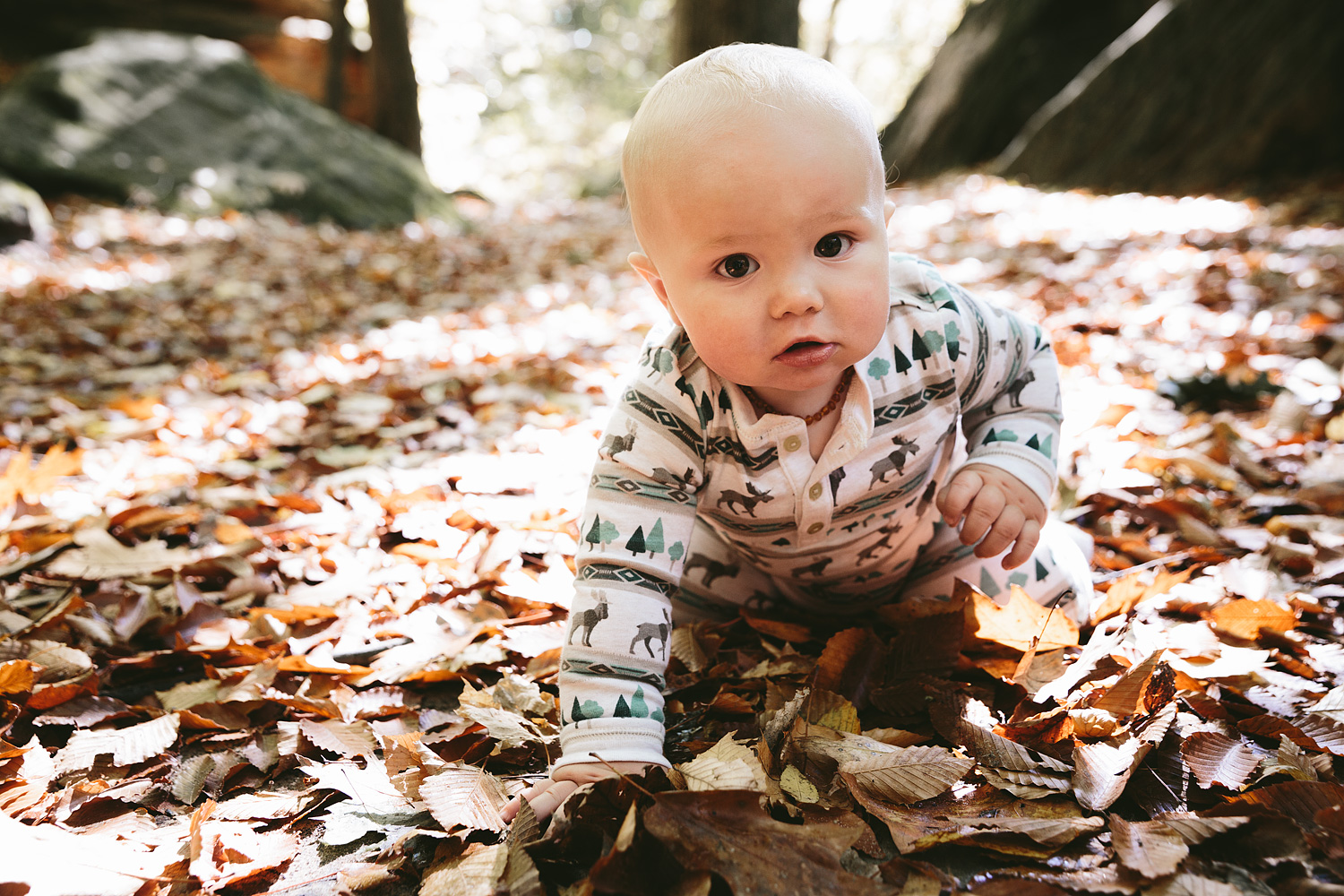 medina-ohio-family-portrait-photographer-hinckley-metropark-19.jpg