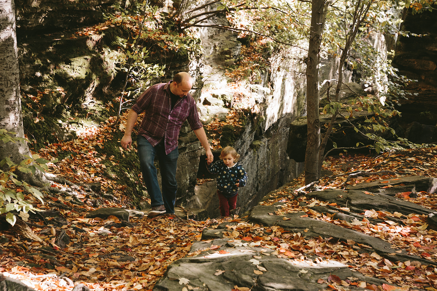 medina-ohio-family-portrait-photographer-hinckley-metropark-29.jpg