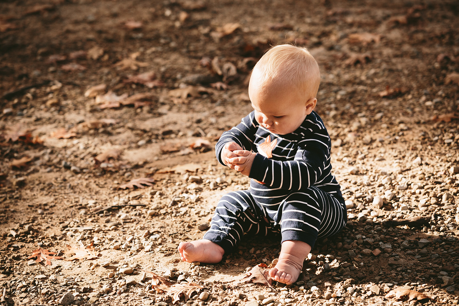 medina-ohio-family-portrait-photographer-hinckley-metropark-45.jpg