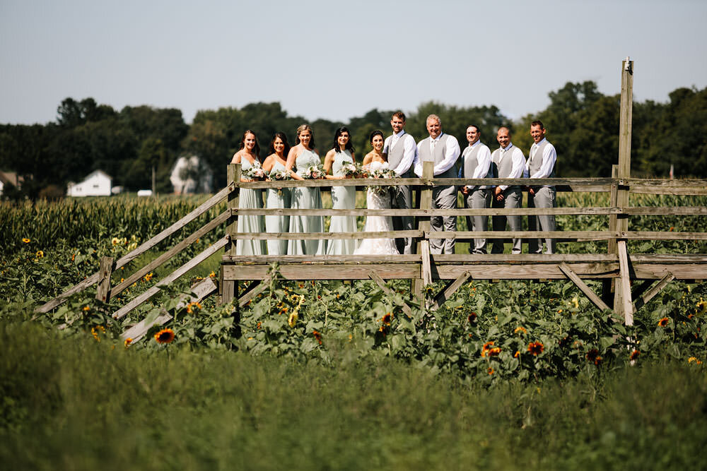 dodds-hillcrest-orchards-wedding-photographers-amherst-ohio-barn-photography-51.jpg