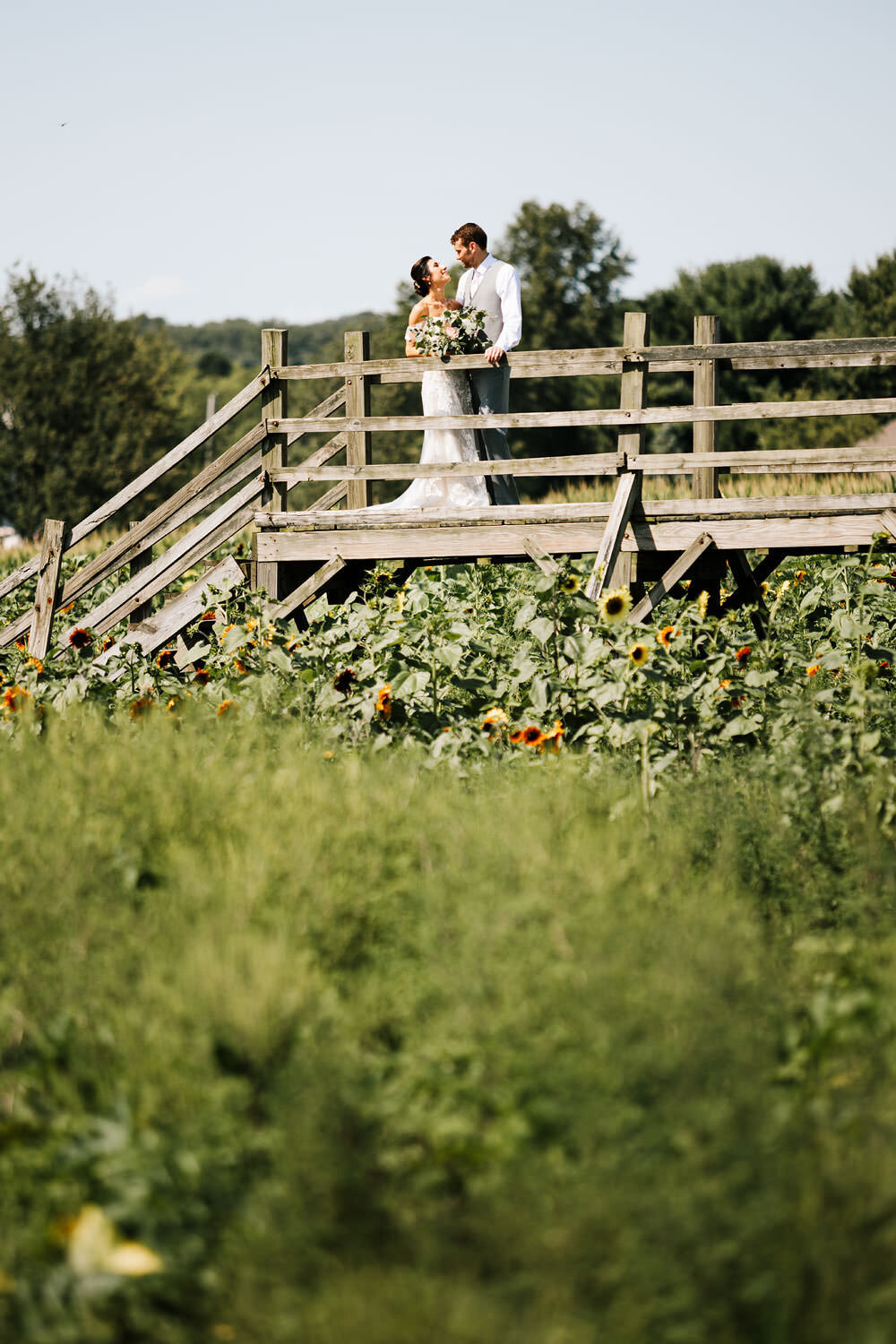 dodds-hillcrest-orchards-wedding-photographers-amherst-ohio-barn-photography-52.jpg