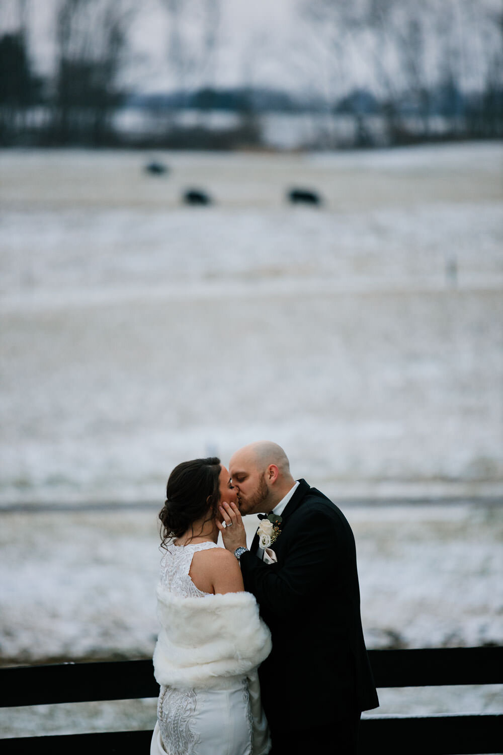 brookside-farm-barn-wedding-photography-akron-ohio-new-years-eve-63.jpg