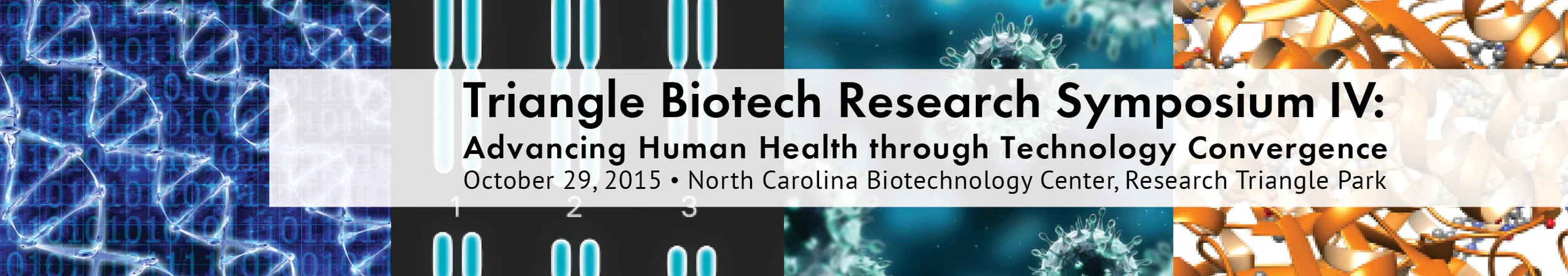 RTP 2015 Header.jpg