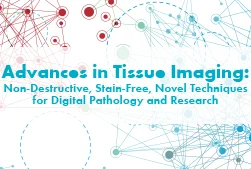 Advancing Point of Care Tissue Imaging with Genesis Imaging System