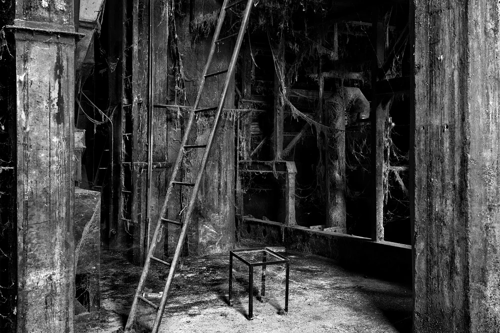 cobwebs n latter.jpg