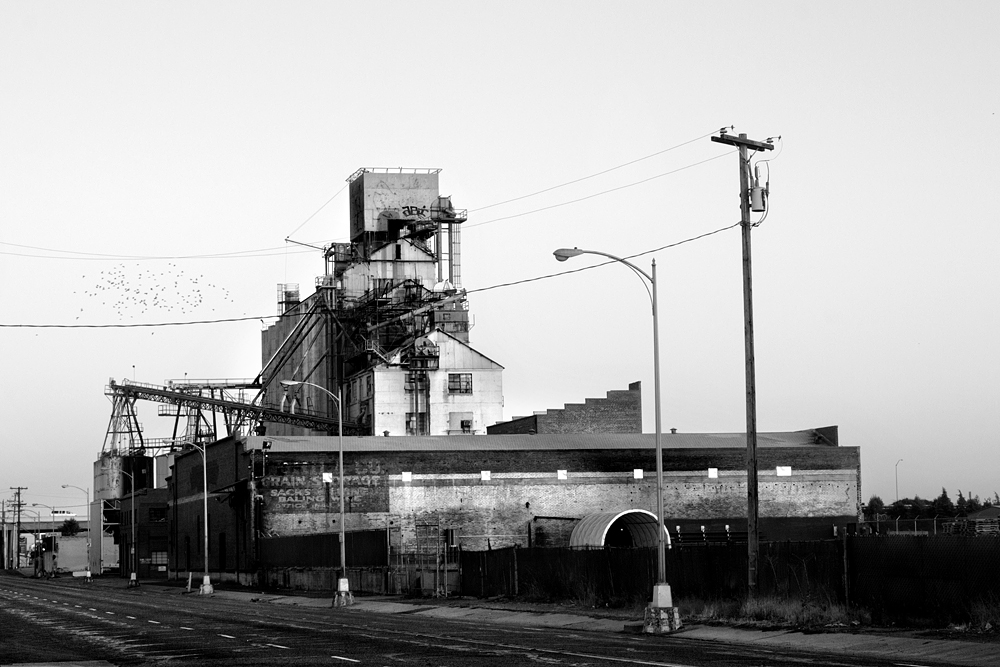 mill1.jpg