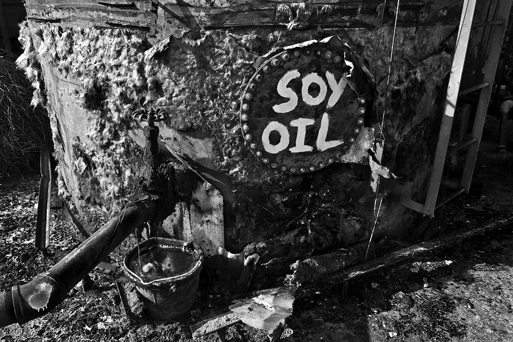 soy oil bw.jpg