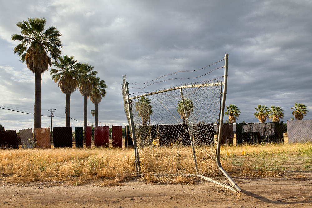 gate w palms.jpg
