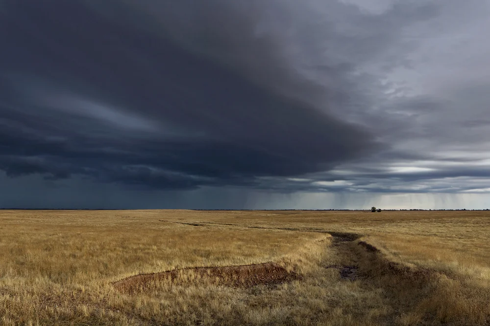 storm head1.jpg