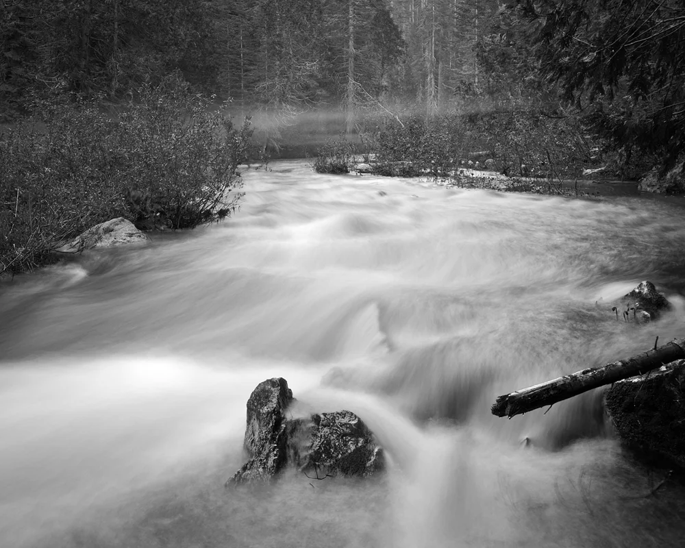 rock in stream.jpg