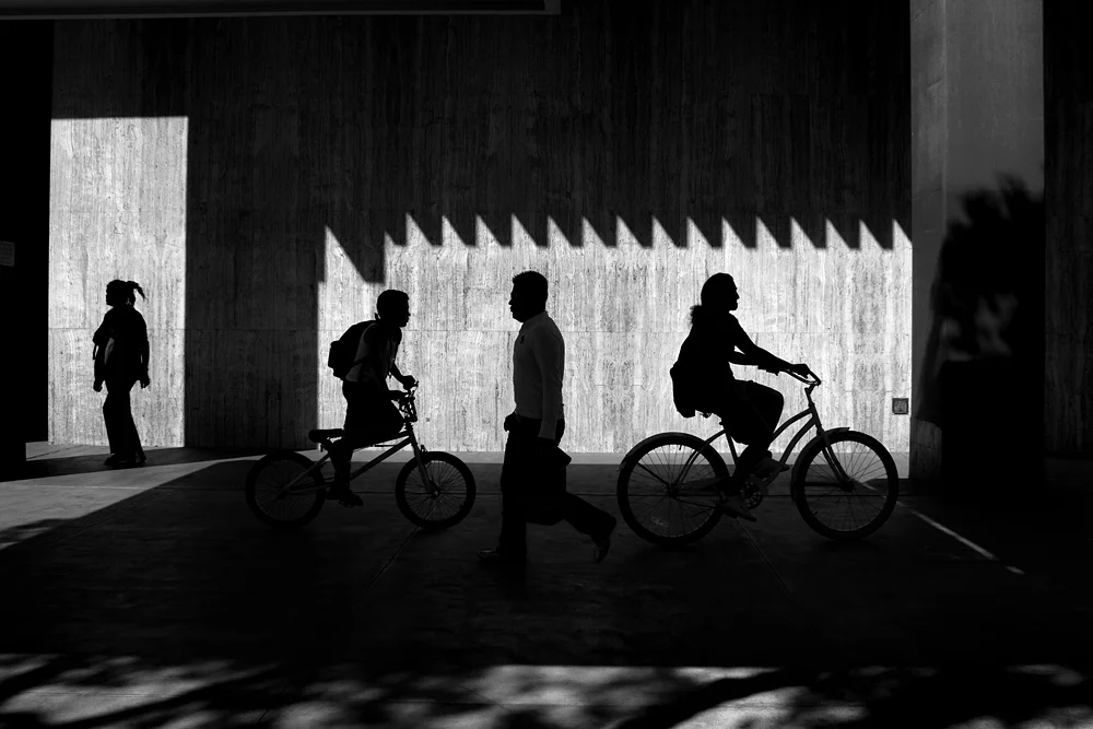 shadow walkers 20x13_33.jpg