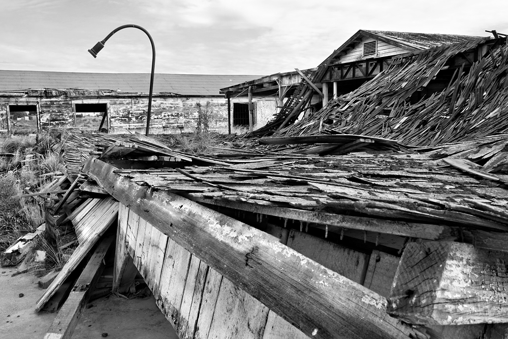 blown down clar 20x13_33.jpg