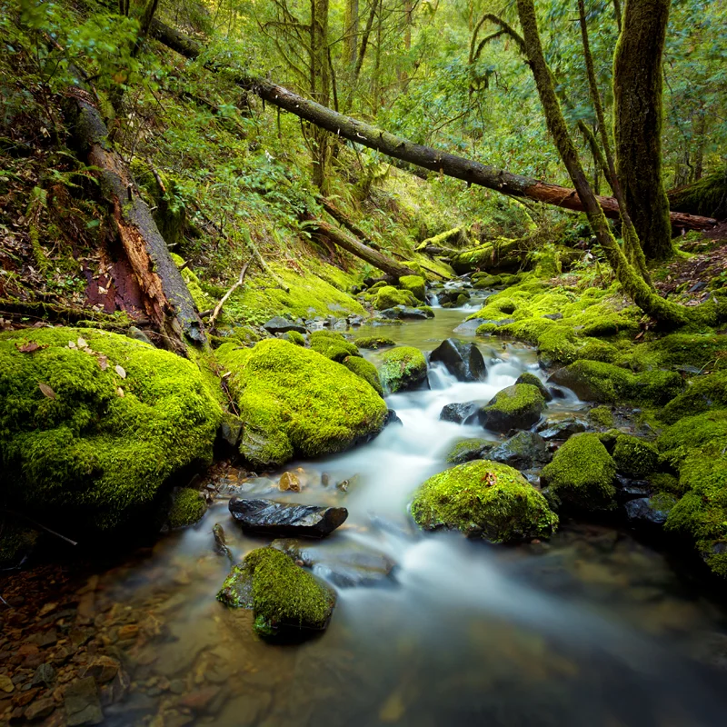 IMG_7114-Edit.jpg
