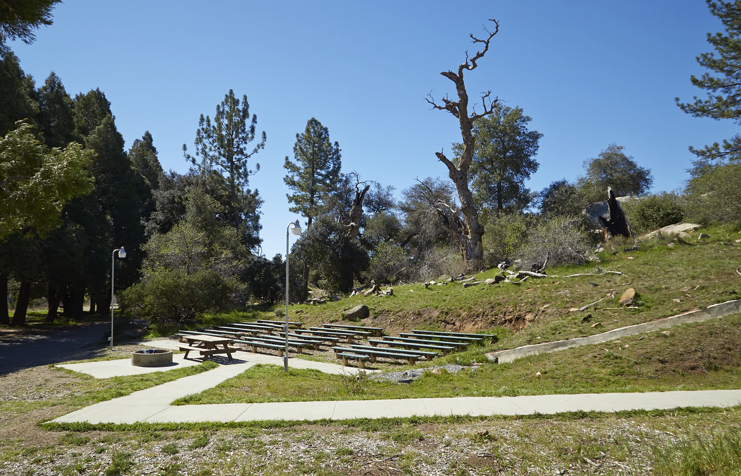 Davy_Cuyamaca_5221.jpg