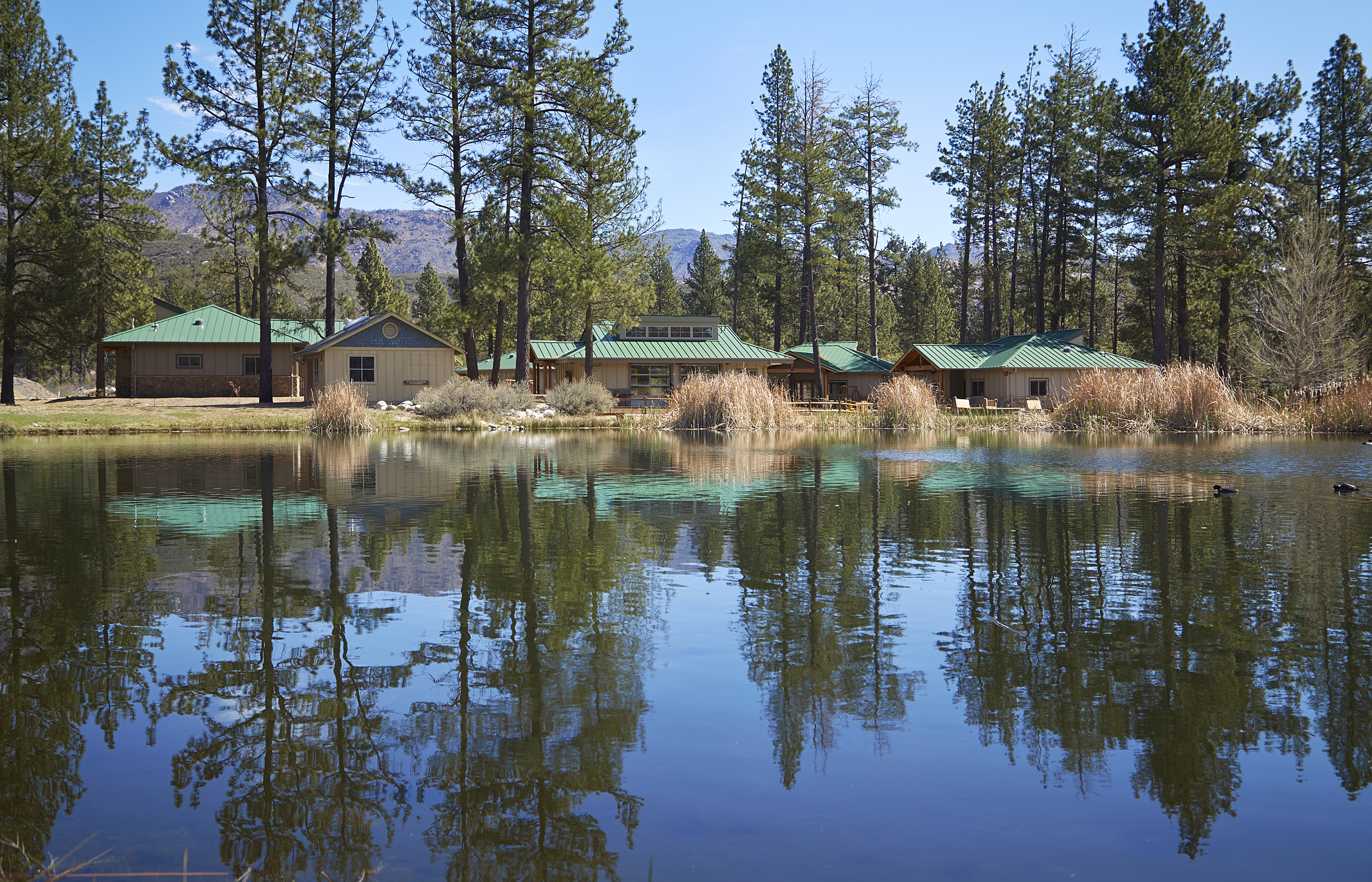 Camp Ronald McDonald for Good Times