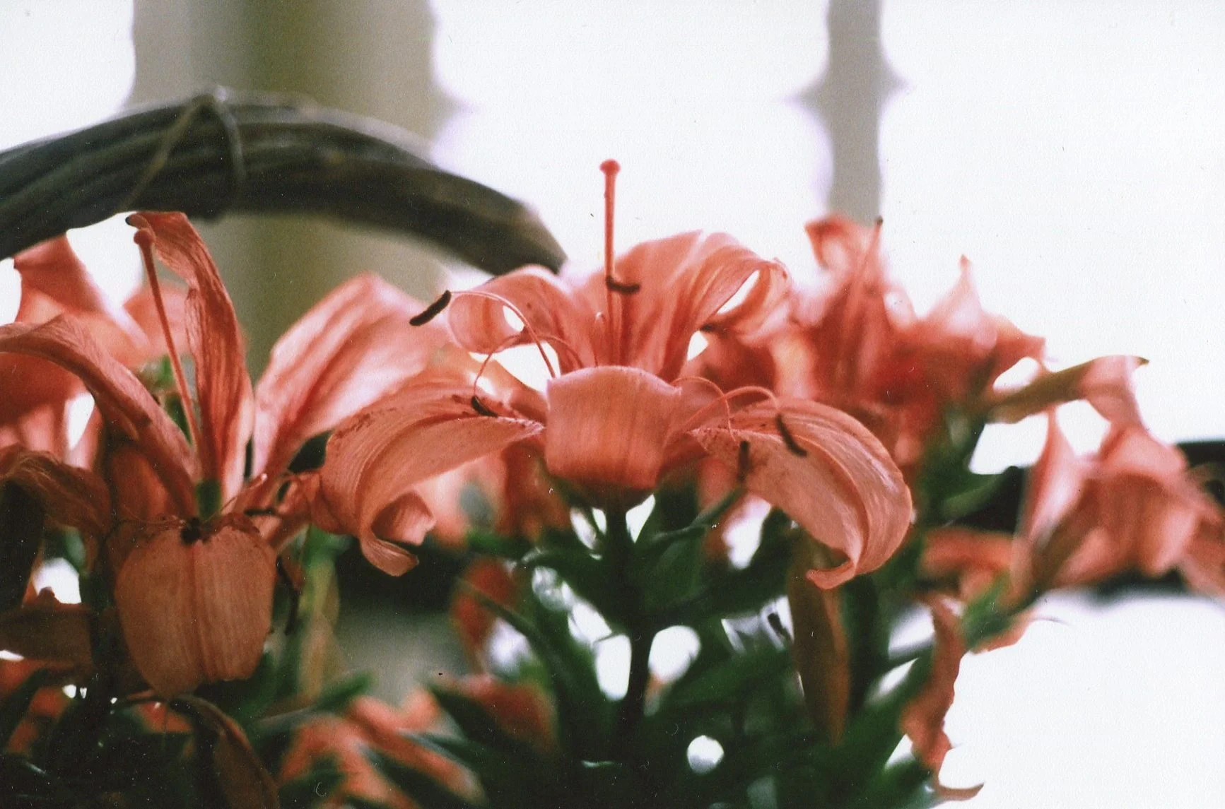 img003.jpg