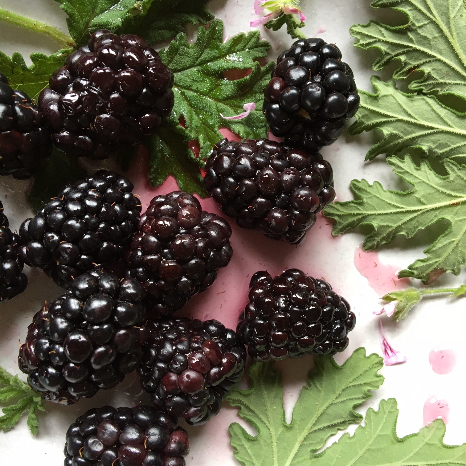 Here are the Berries!