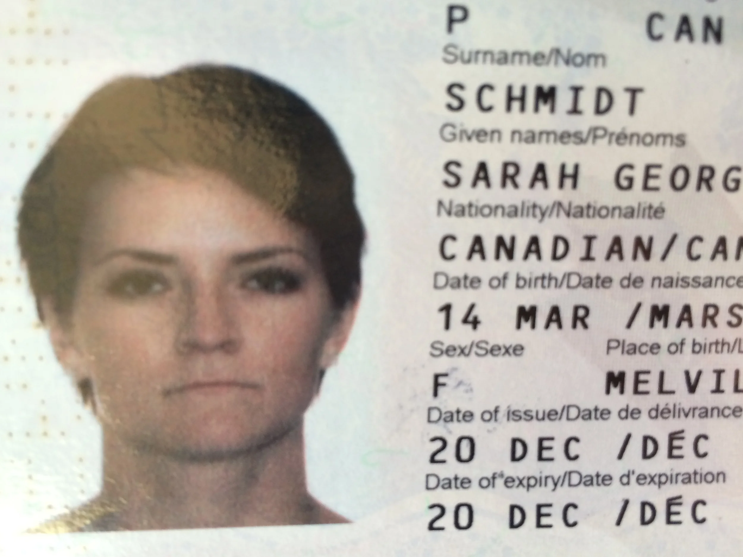 ItBySarahGSchmidt_ExhA_1.jpg