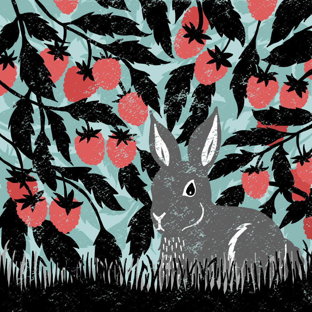 raspberry-bunny-web.jpg