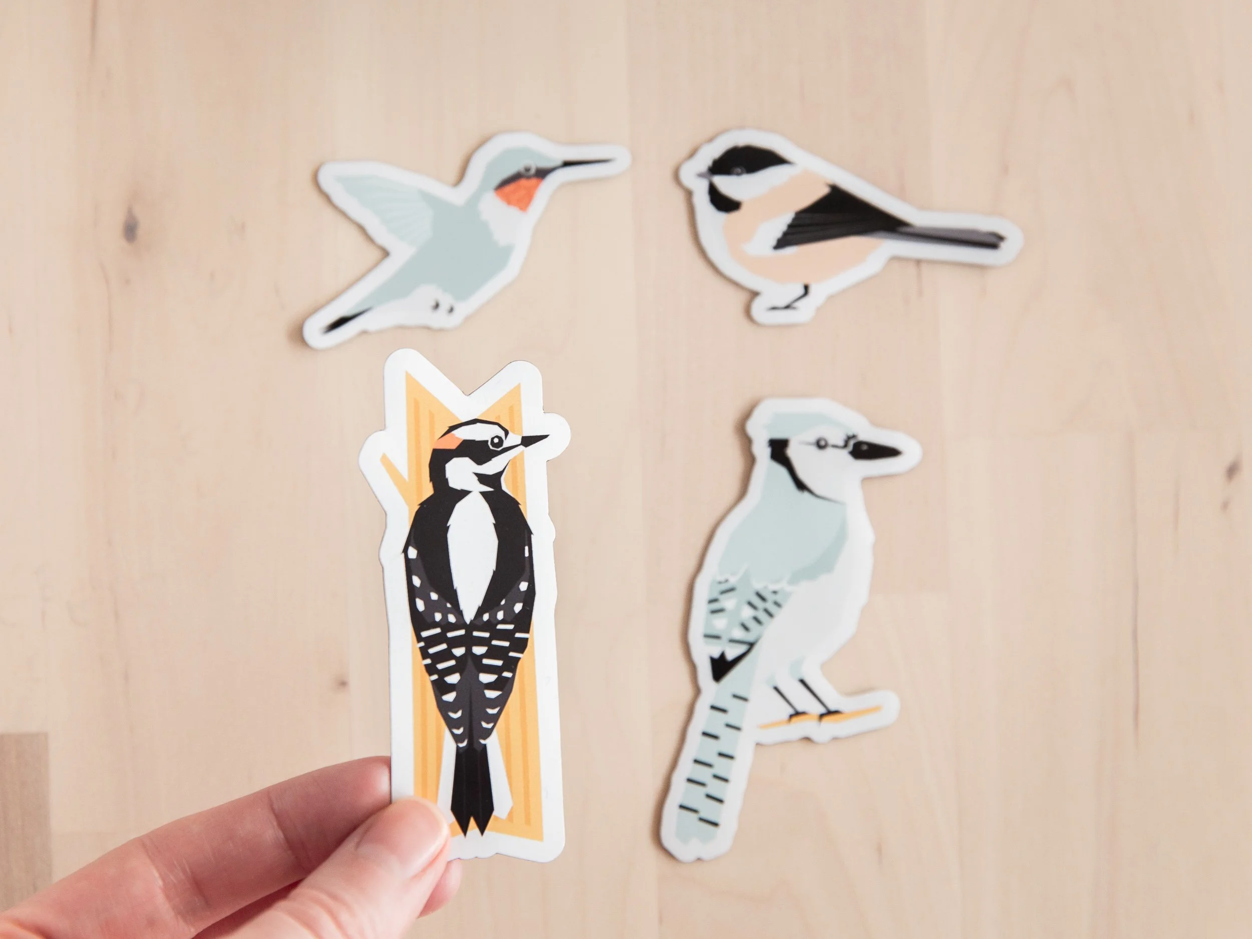 Magnet-Pack-Details-5.jpg