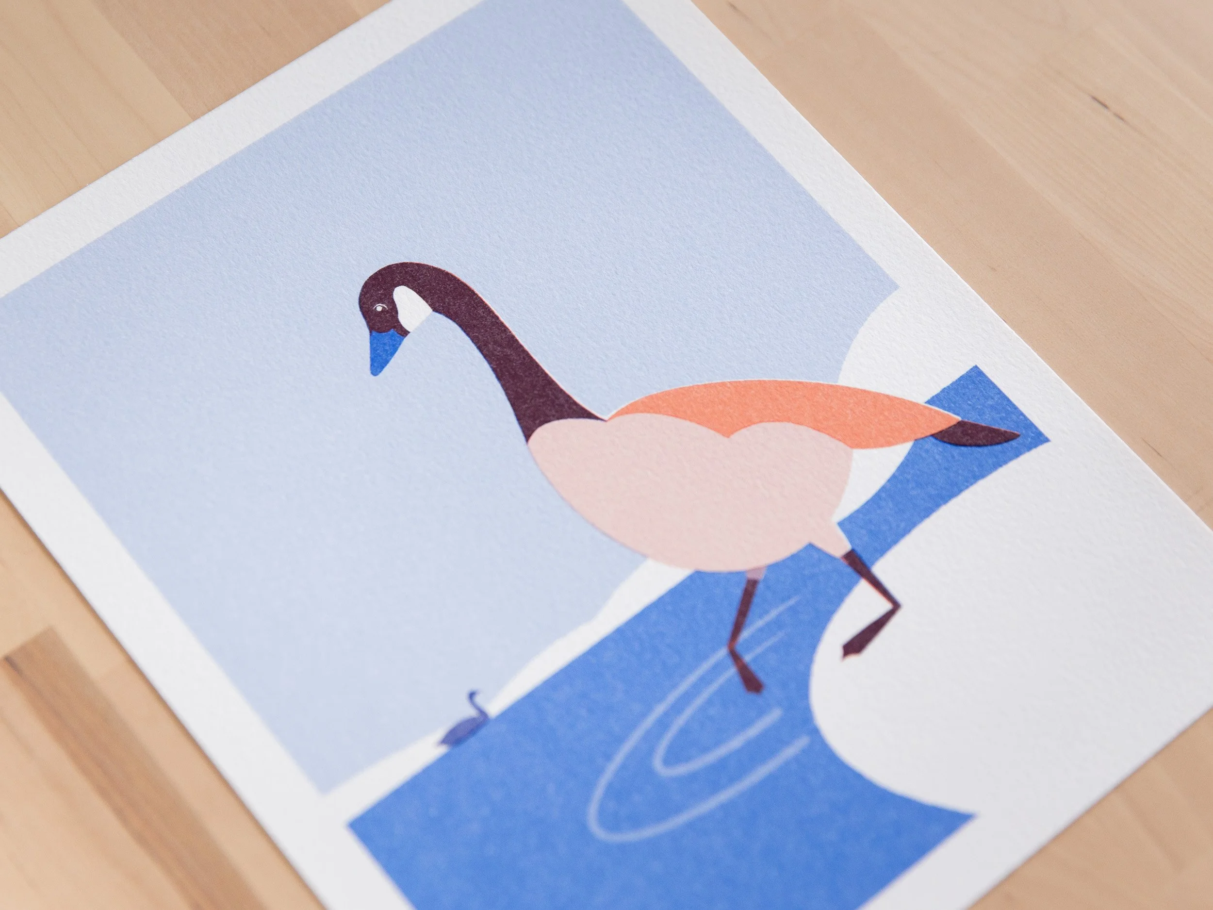 Goose-2.jpg